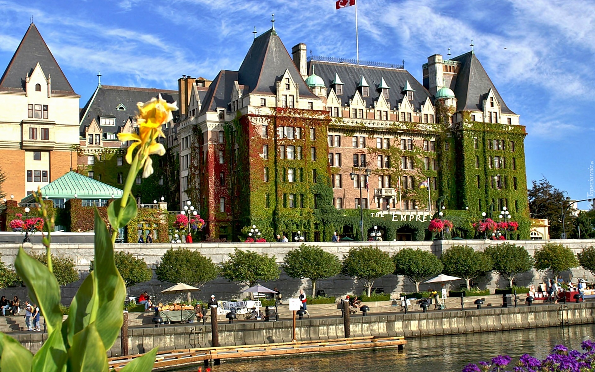 Hotel, The Empress, Victoria, Kolumbia, Brytyjska, Rzeka, Drzewa