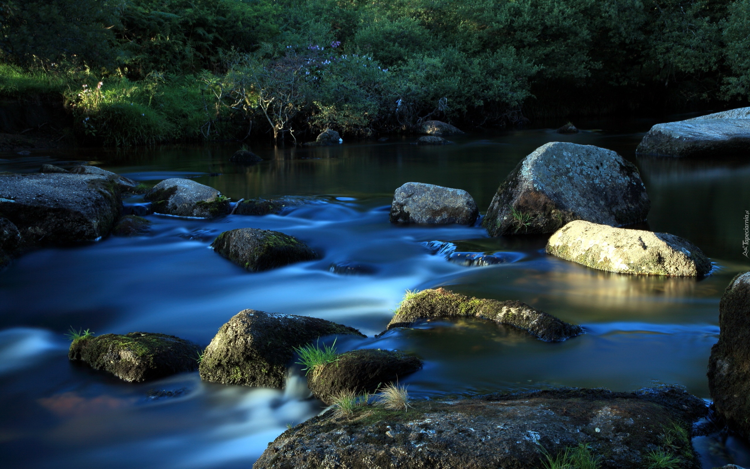 Stone river