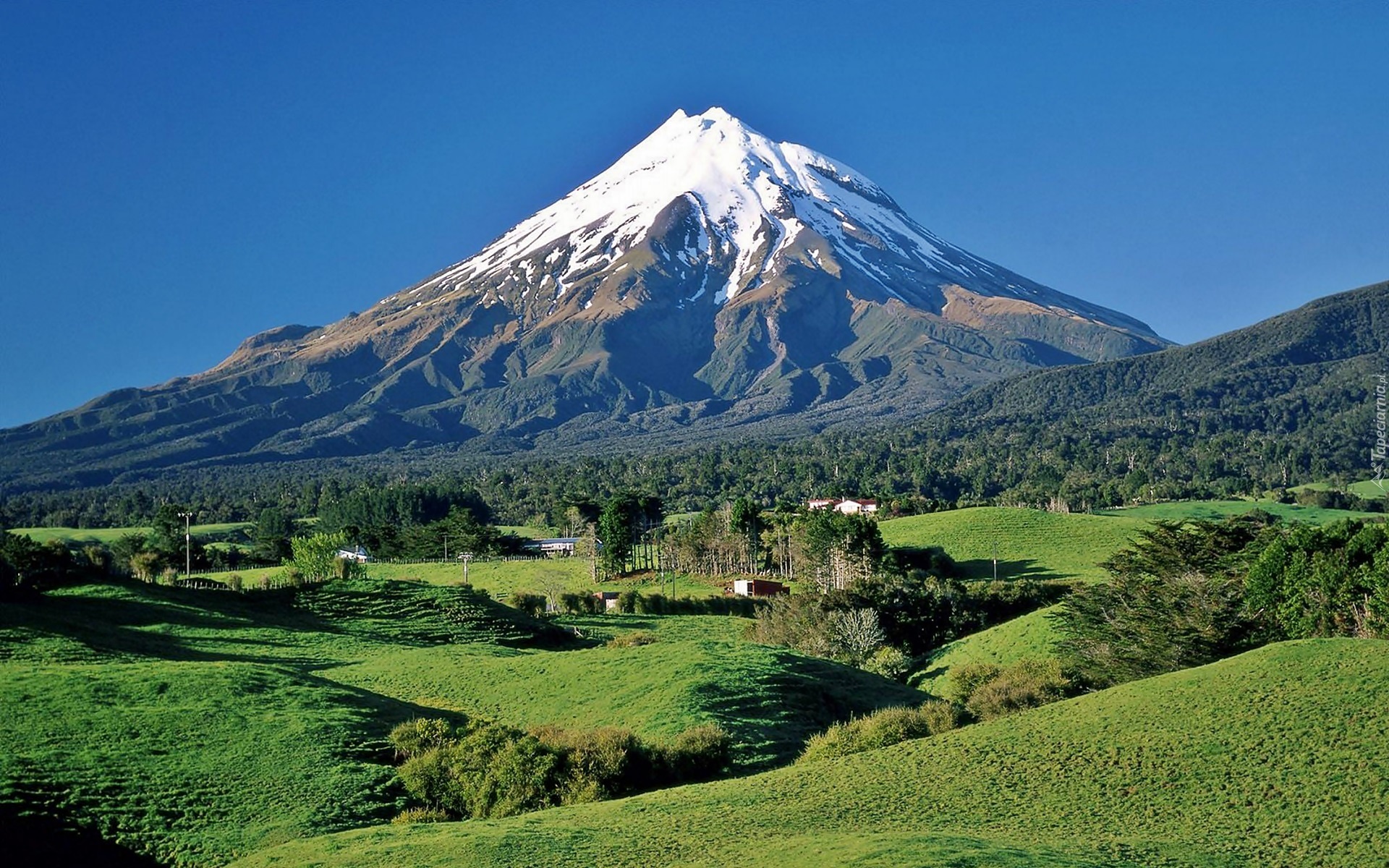 Wulkan, Taranaki, Lasy, Łąki, Domy