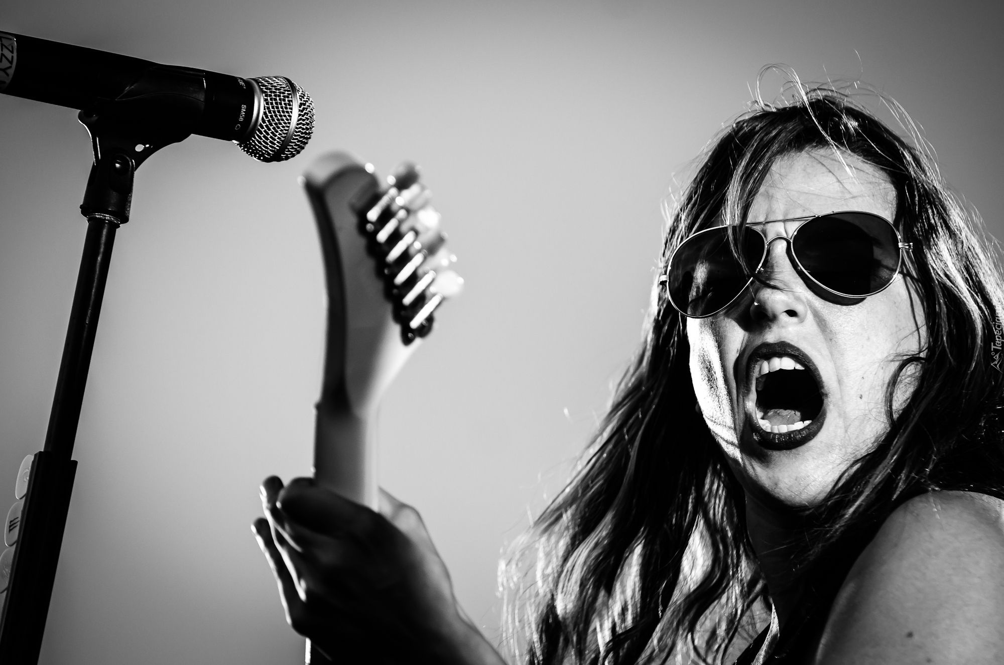 Wokalistka, Lzzy Hale