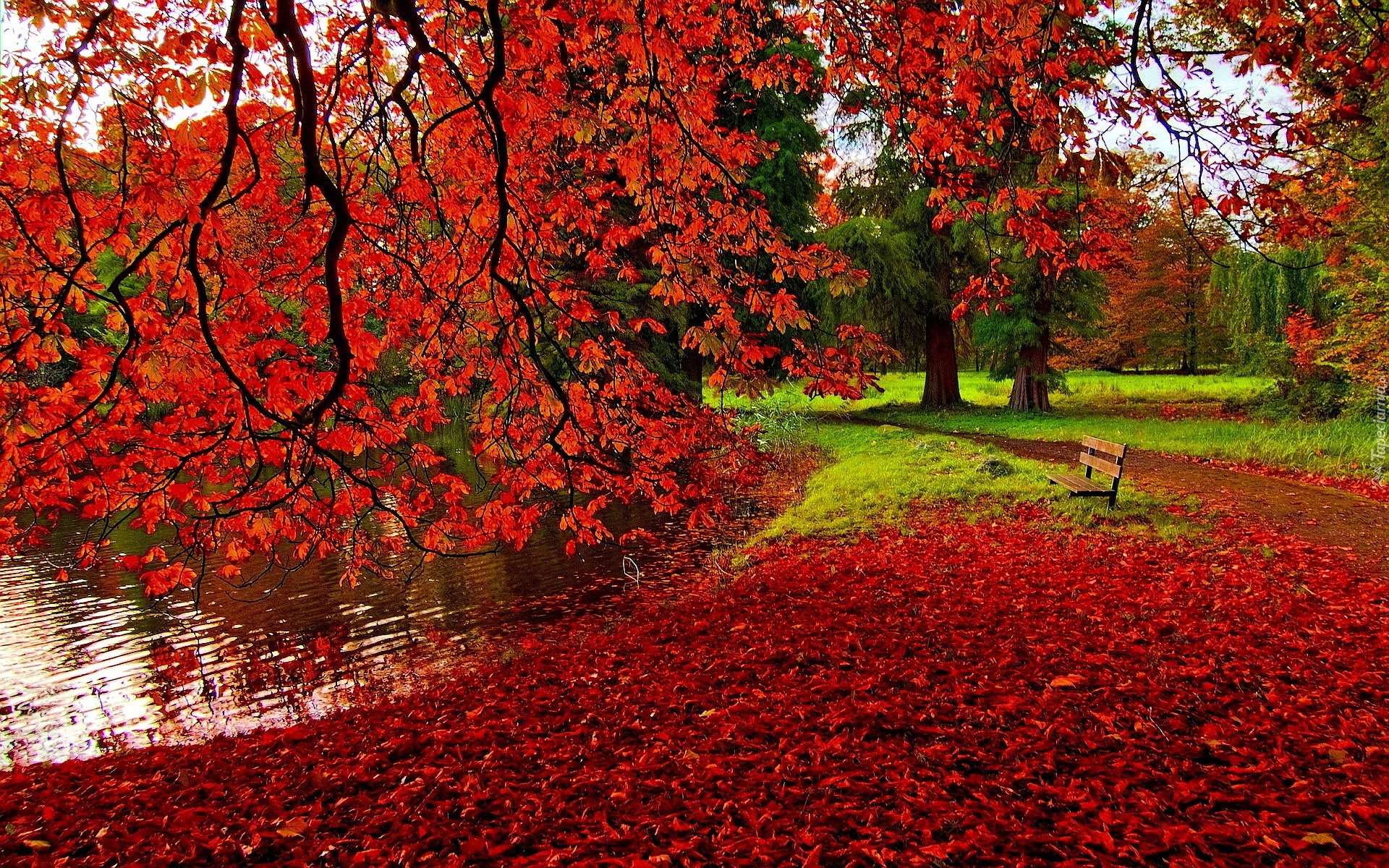 Park, Rzeka, Alejka, Ławka, Liście, Jesień