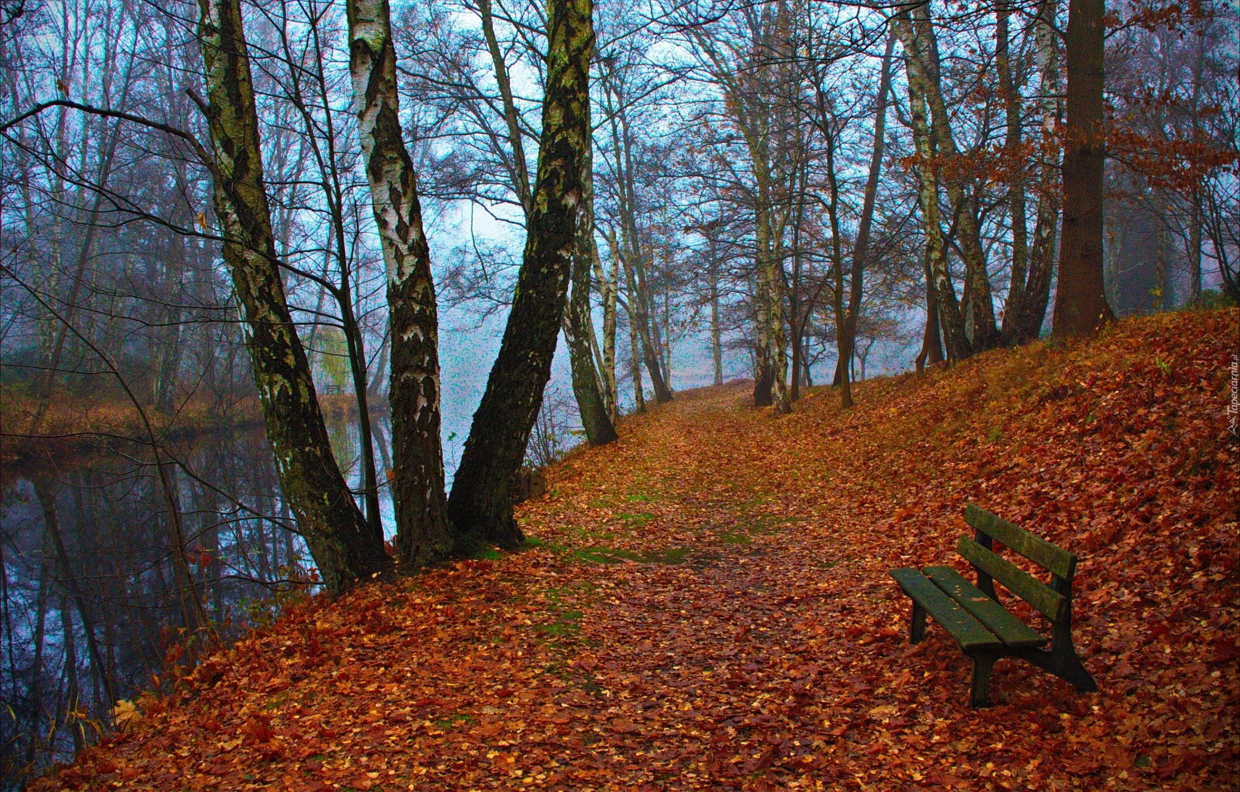 Jesień, Park, Rzeka, Ławka