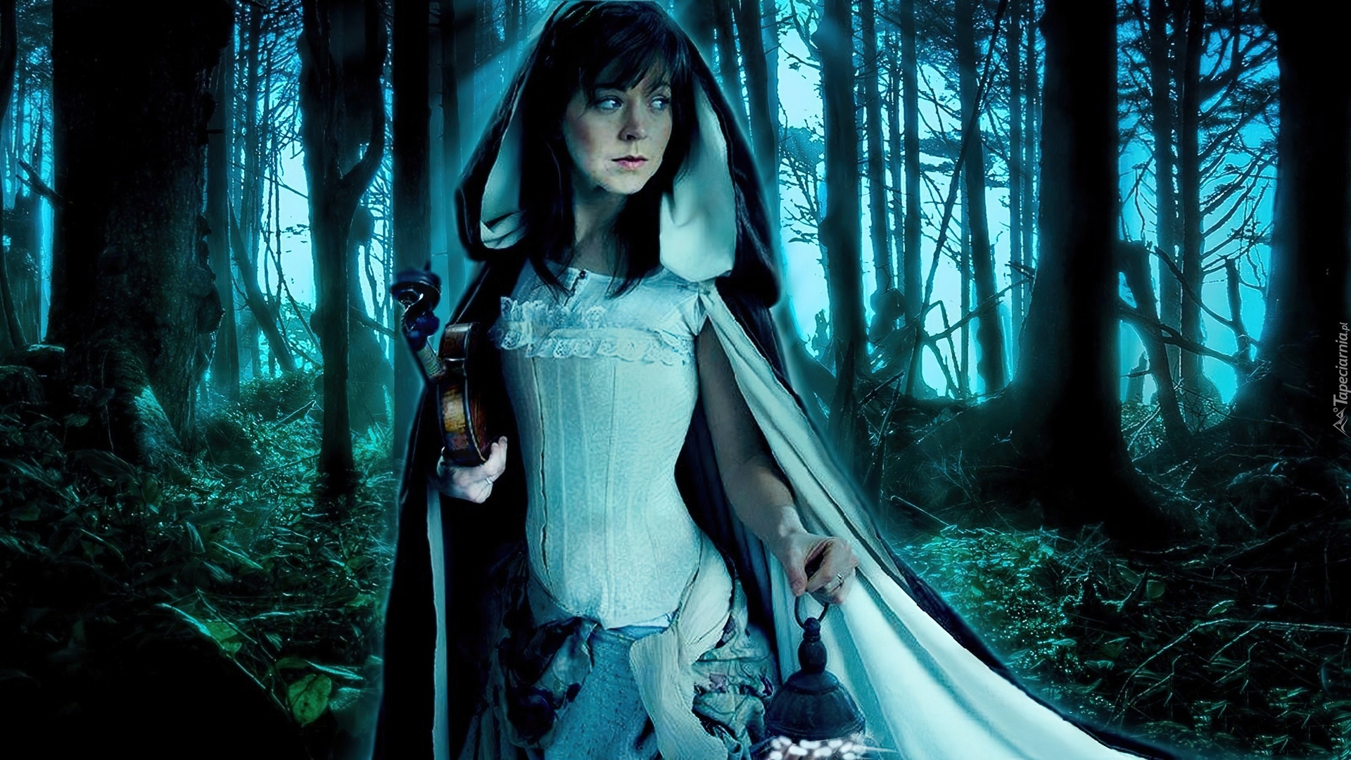 Lindsey Stirling, Skrzypce