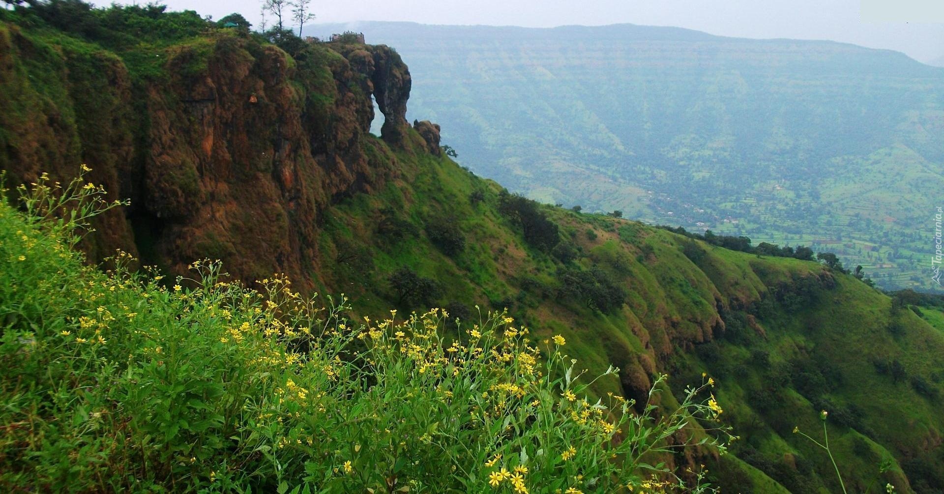 Góra, Kwiatki, Mahabaleshwar, Indie