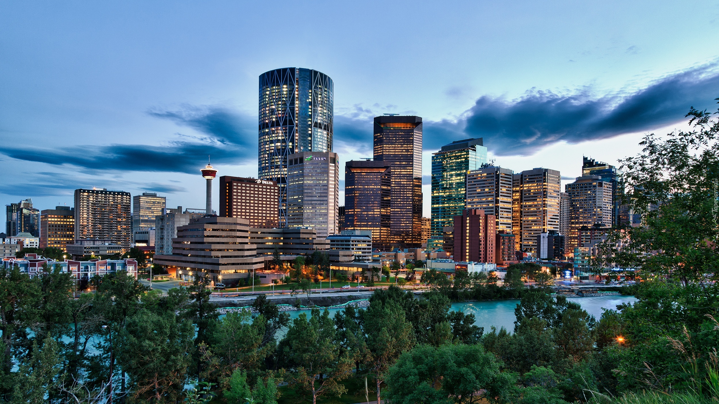 Calgary, Panorama, Miasta, Rzeka, Bow, Chmury, Drzewa