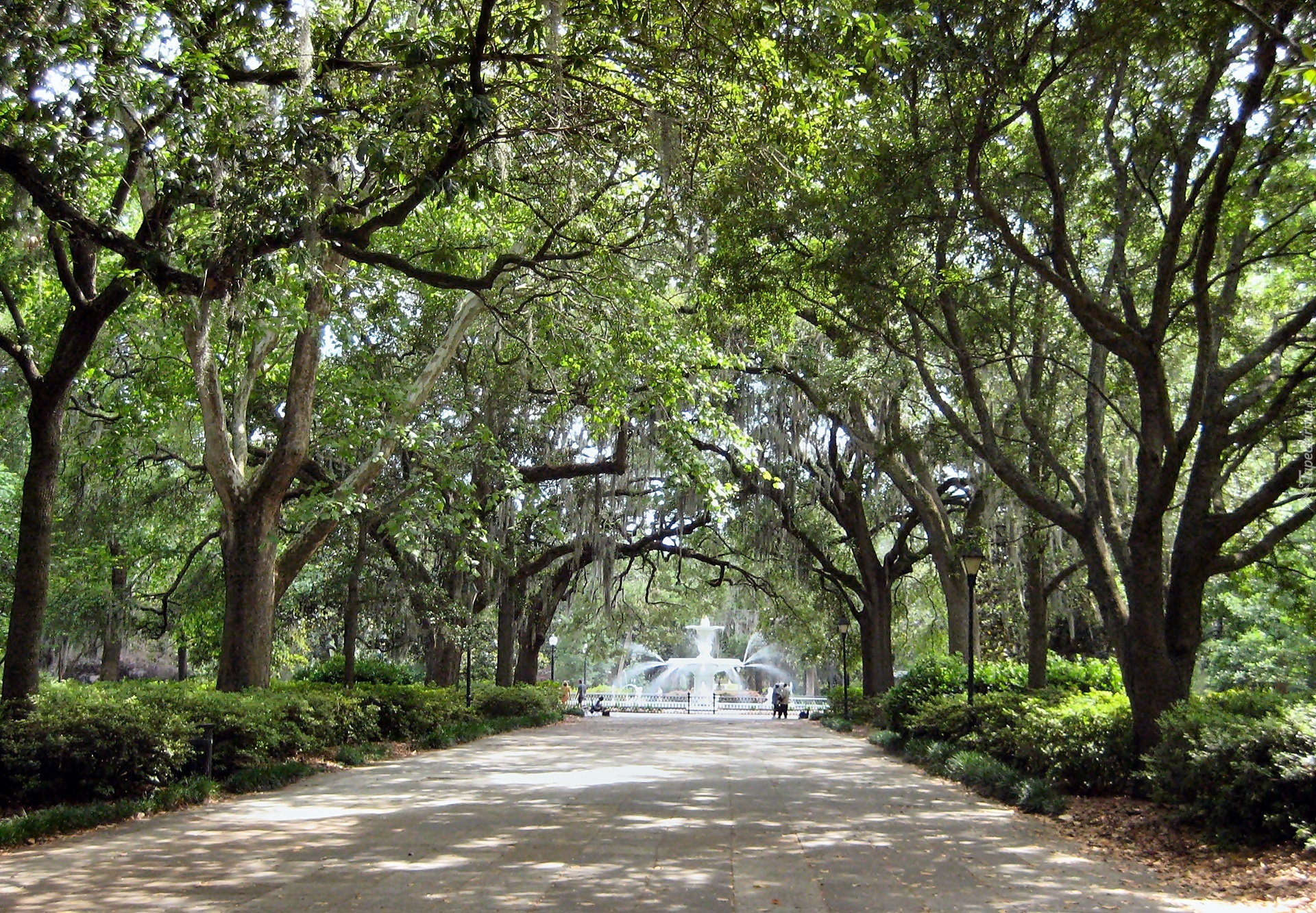 Georgia, Savannah, Forsyth, Park