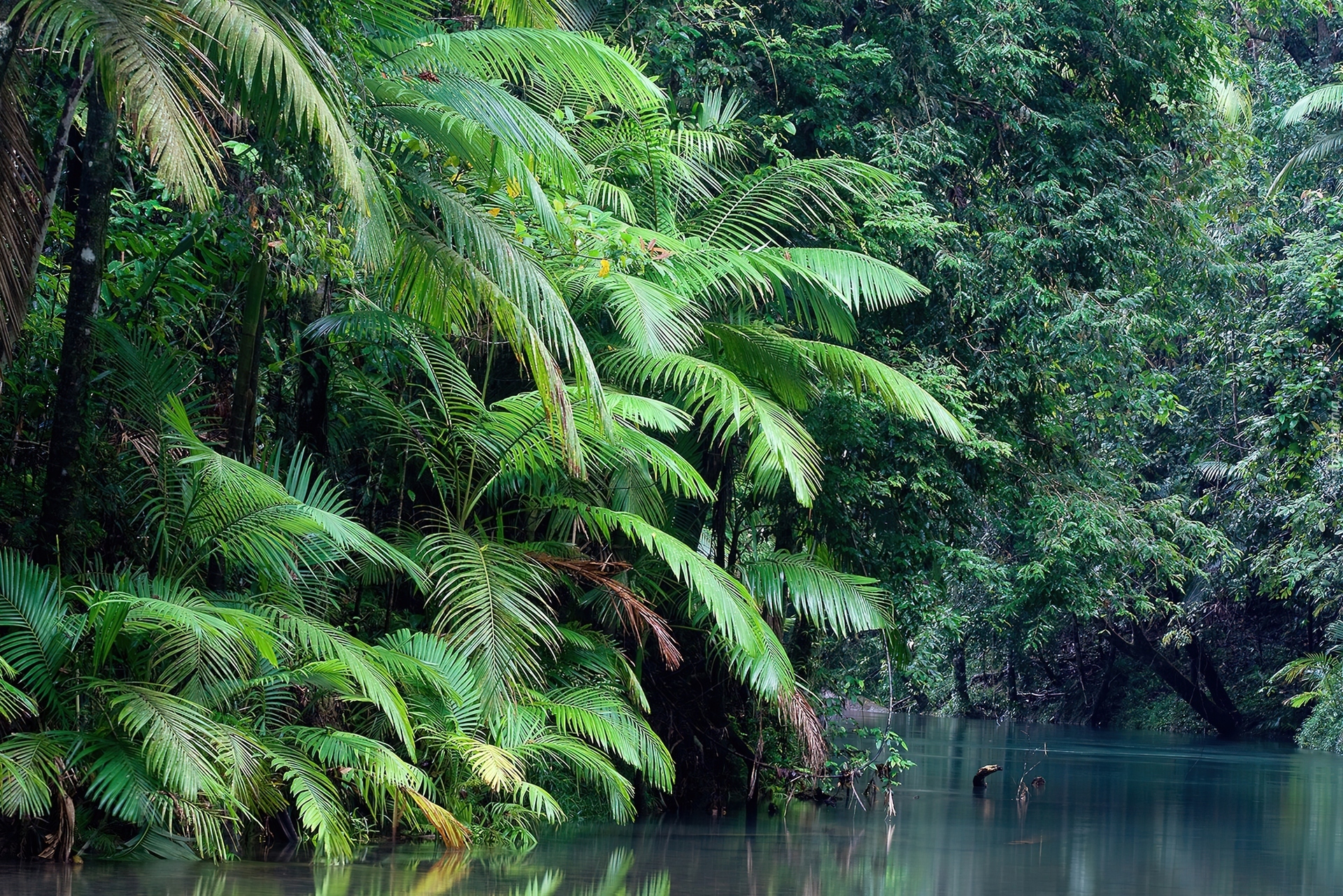 Australia, Rzeka, Las
