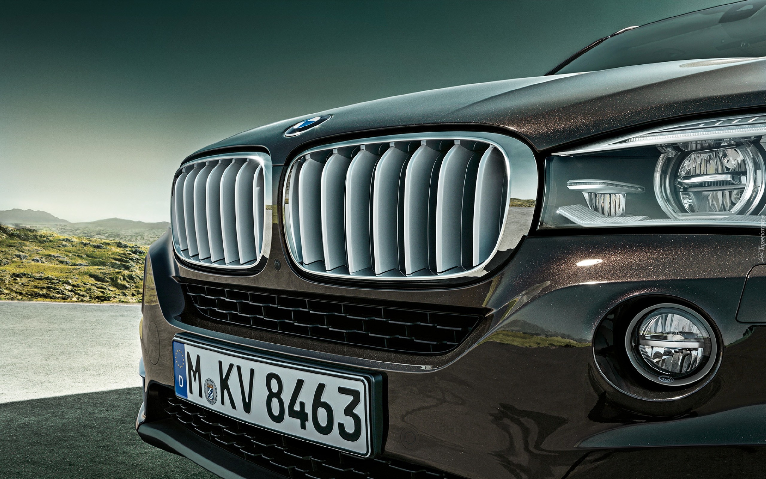 BMW X5 E70, Grill