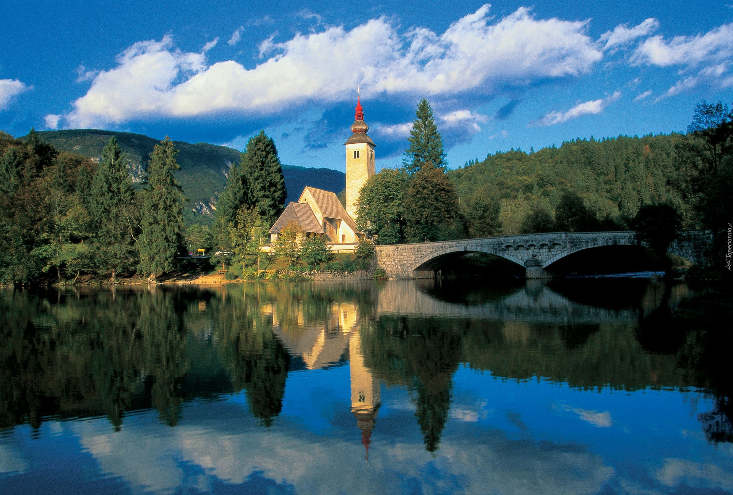 Jezioro, Bohinj, Most, Kościół, Las