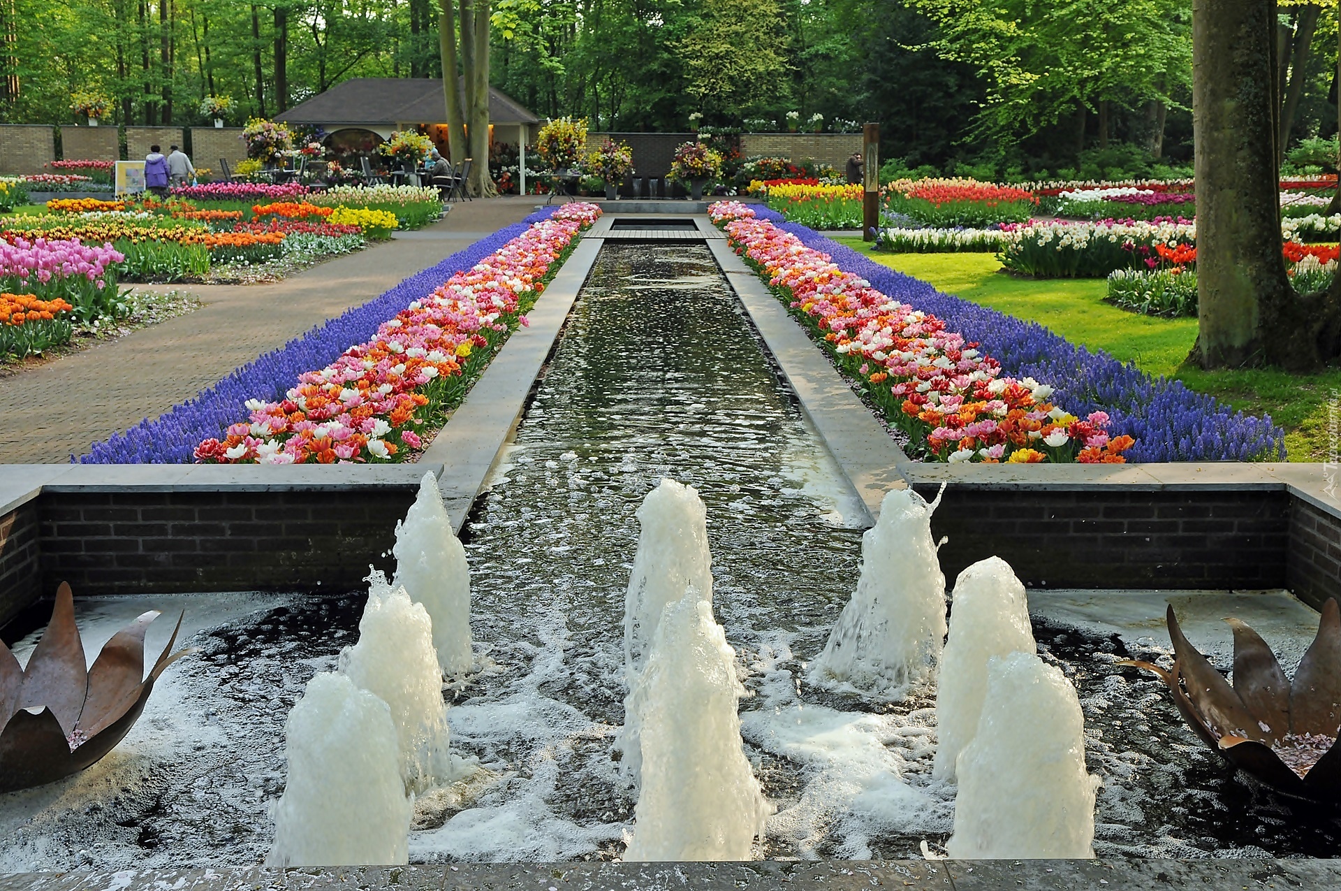 Lisse, Park, Keukenhof, Fontanna, Gazony Kwiatowe, Holandia