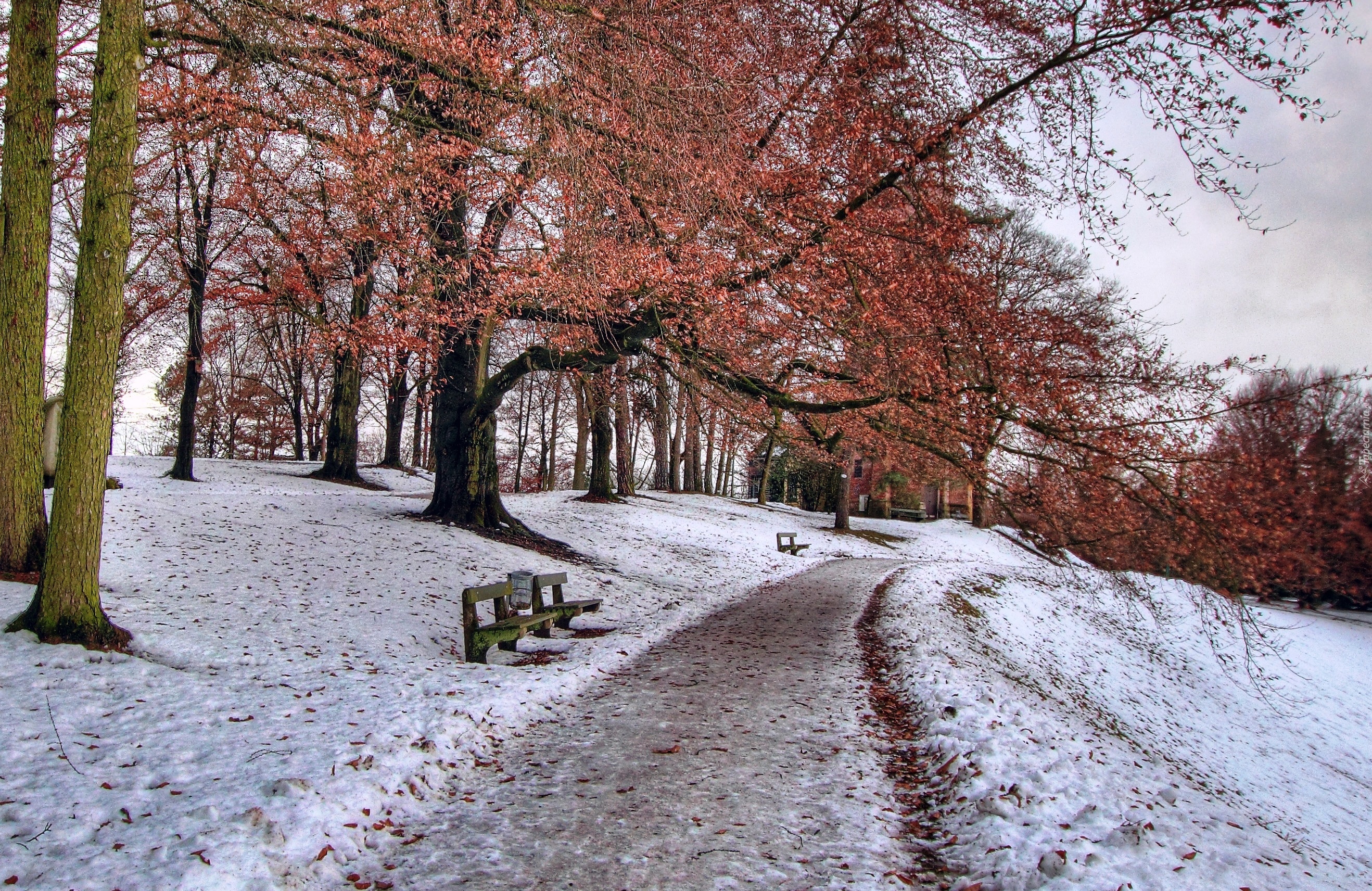 Zima, Park, Ławeczki