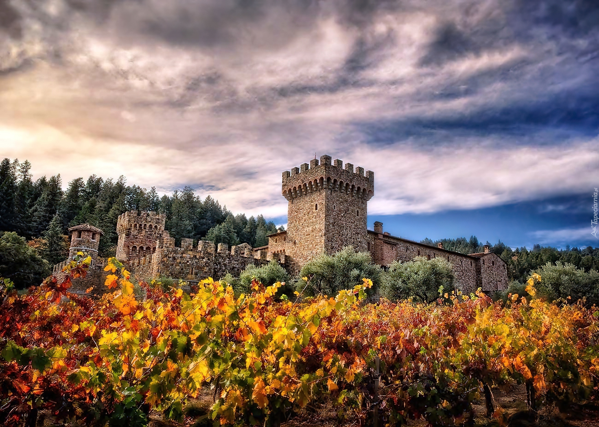 Kalifornia, Napa, Valley, Castello, Di Amorosa, Winnica