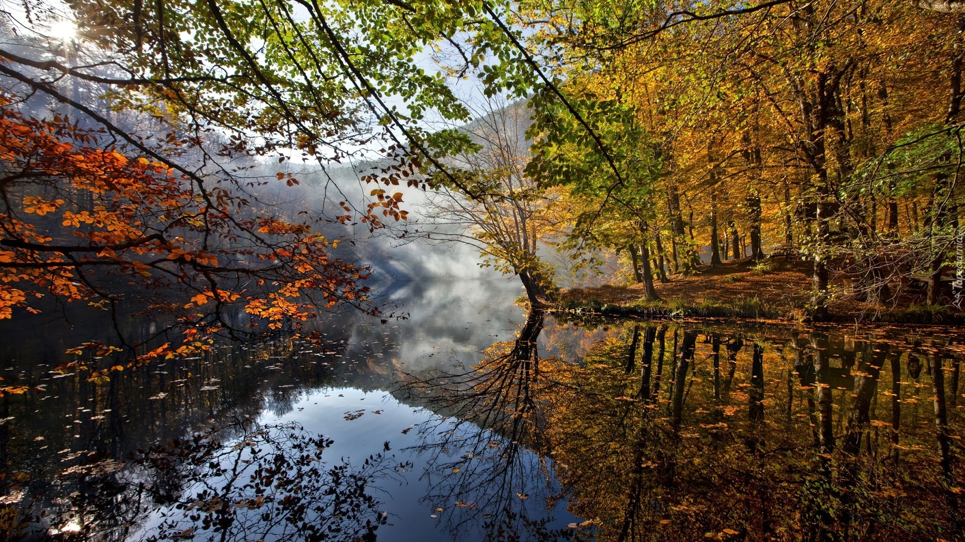 Jesień, Las, Jezioro