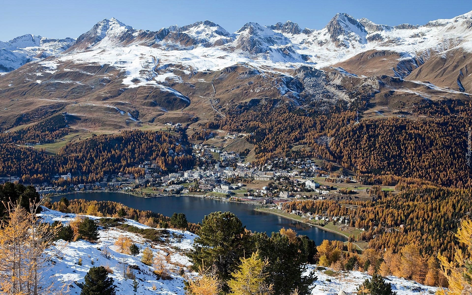 Alpy, Lasy, Jezioro, Kurort, St.Moritz