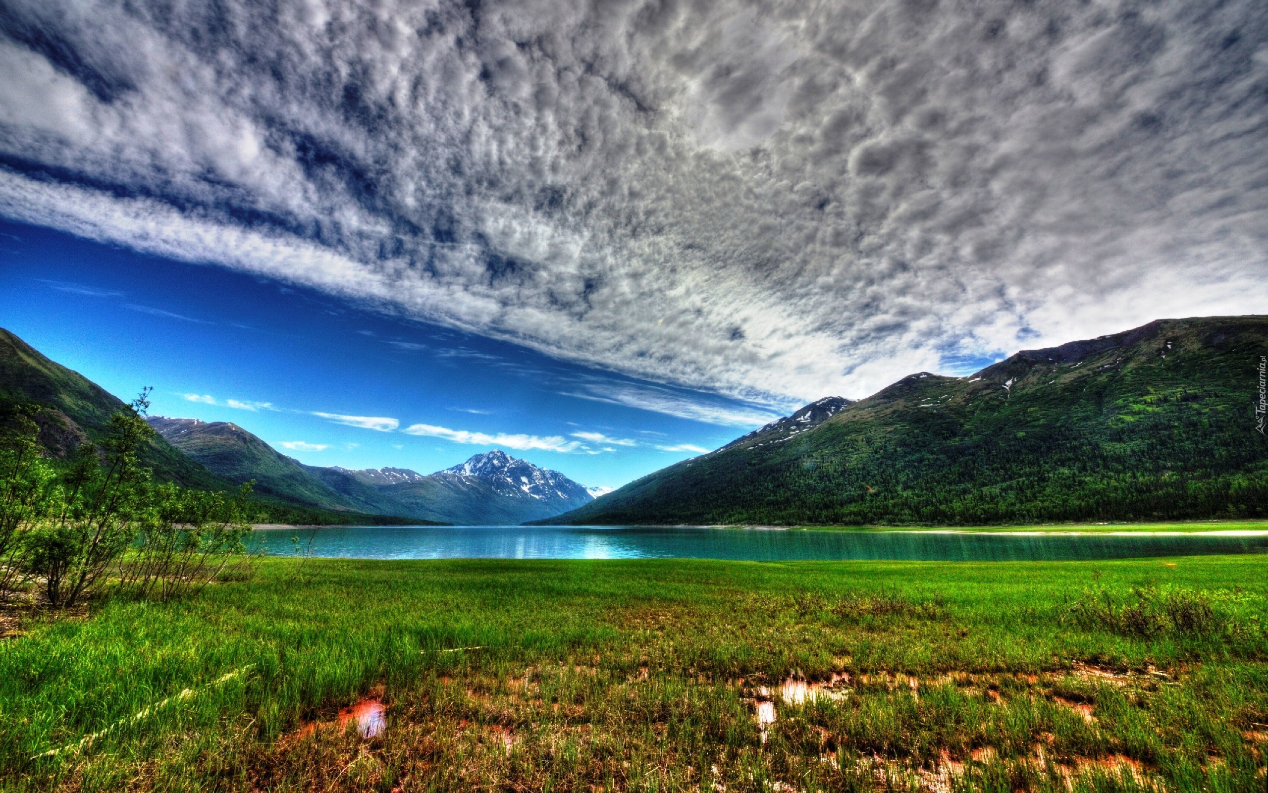 Góry, Jezioro, Łąka, Alaska