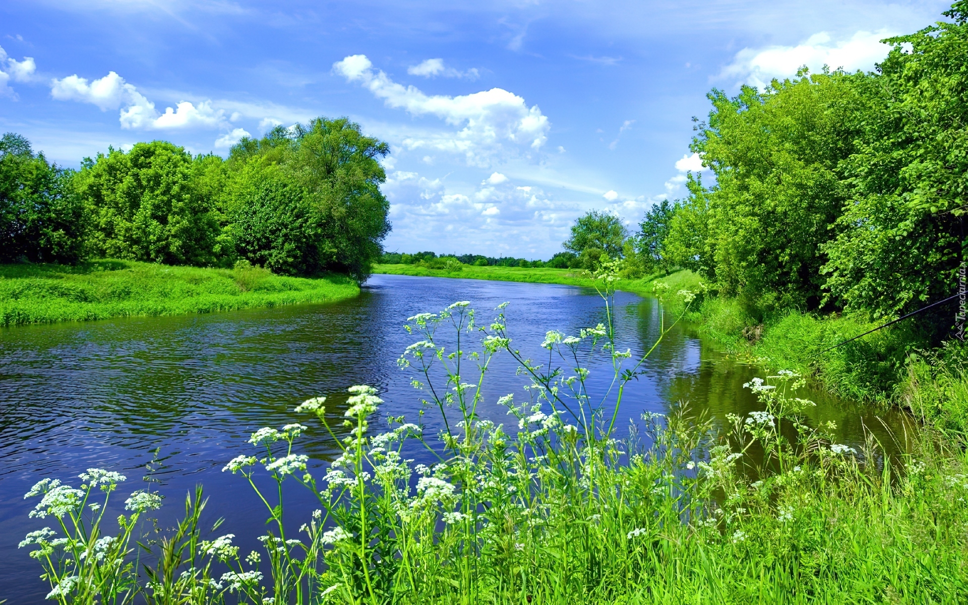 Русские летом на речке. Летний пейзаж. Природа река. Берег реки. Пейзажи природы лето.