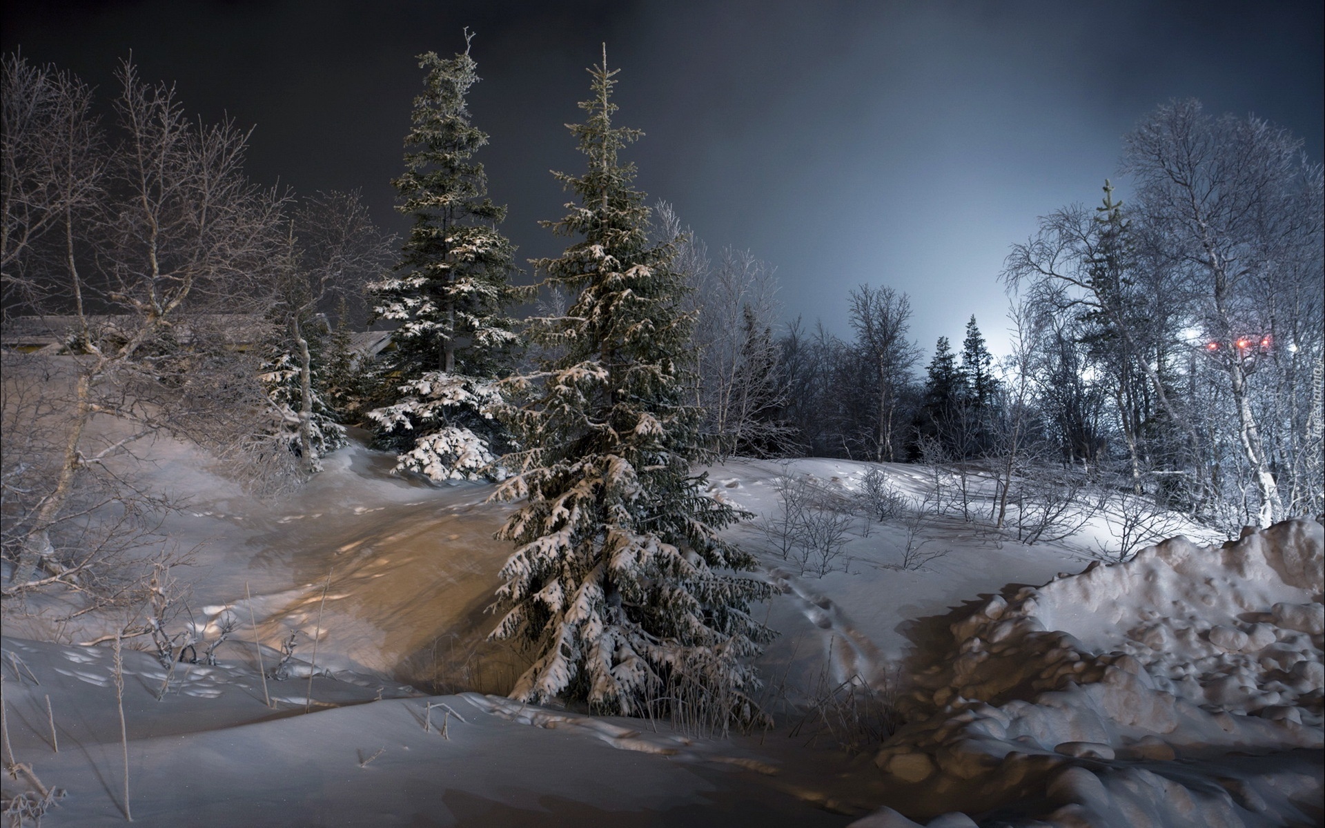 Zima, Śnieg, Noc, Drzewa
