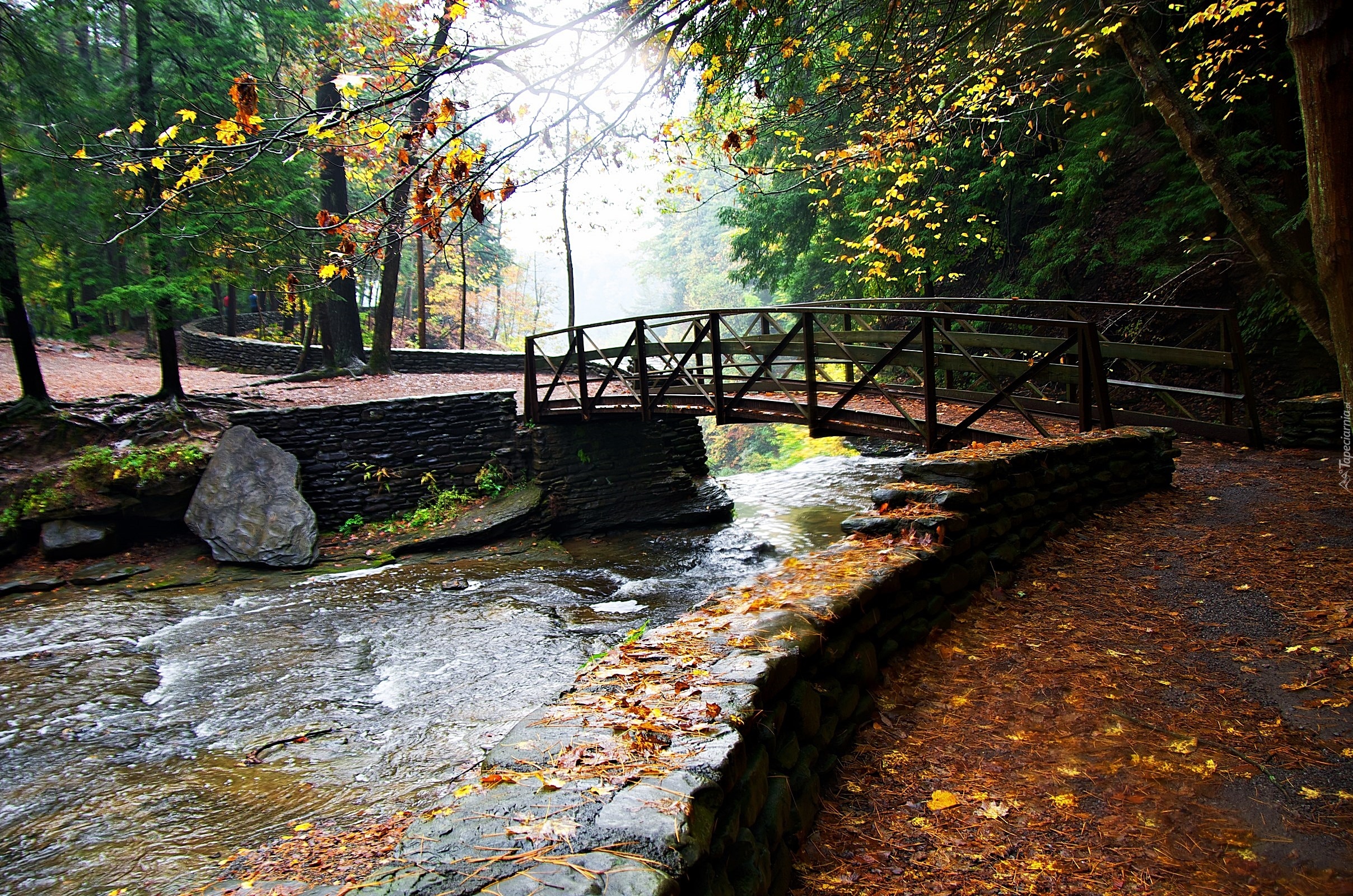 Park, Rzeczka, Most, Jesień