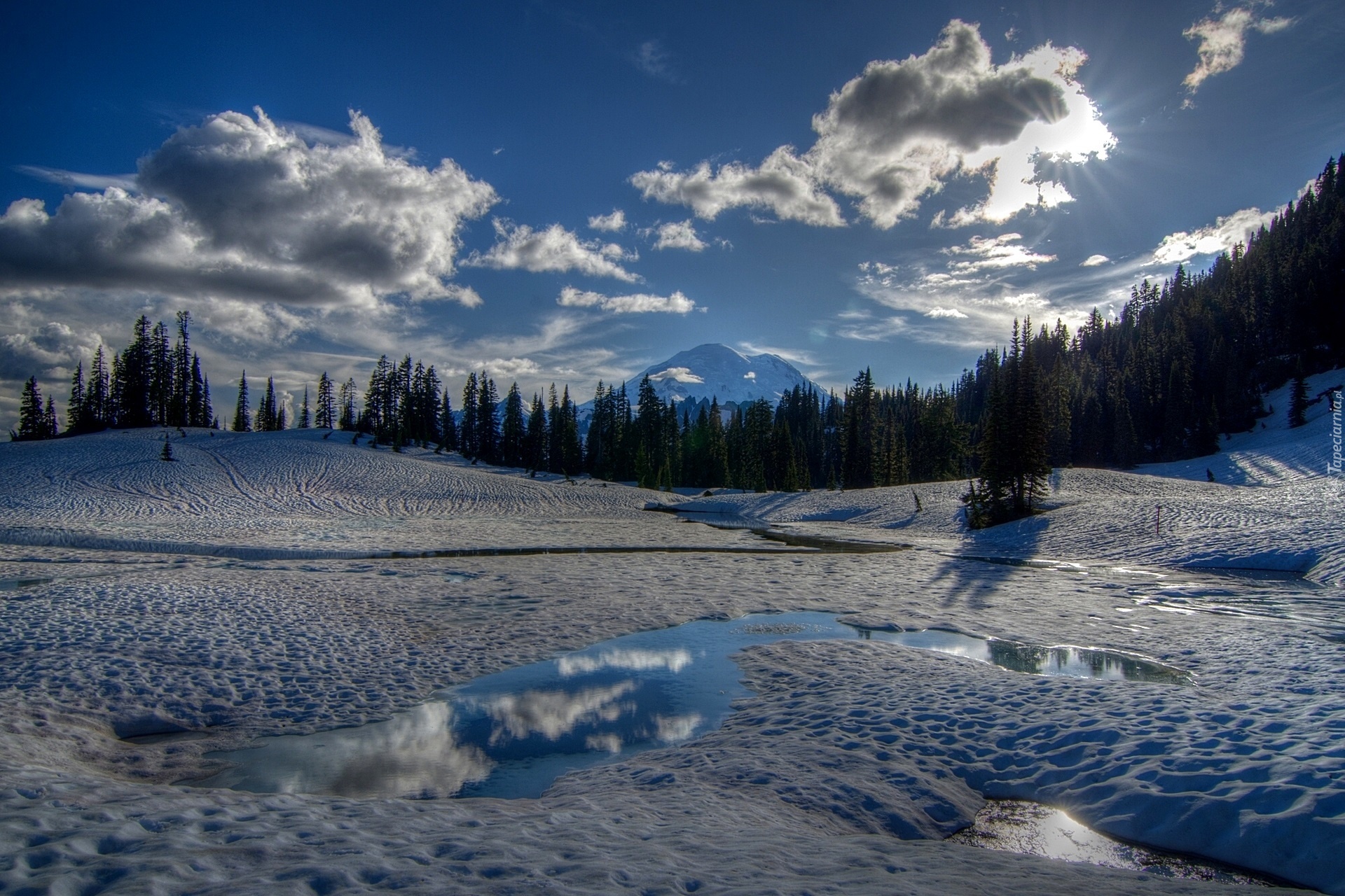 Stany Zjednoczone, Stan Waszyngton, Park Narodowy Mount Rainier, Zima, Jezioro Tipsoo, Las, Promienie Słońca