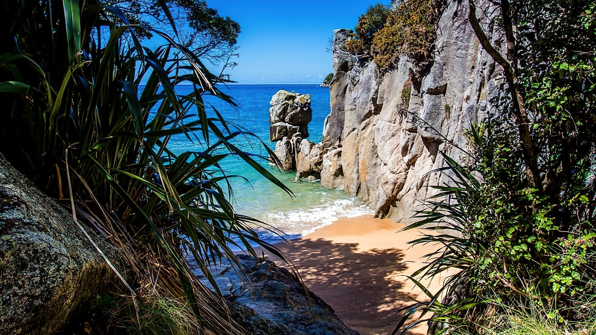Morze, Skały, Plaża, Zieleń