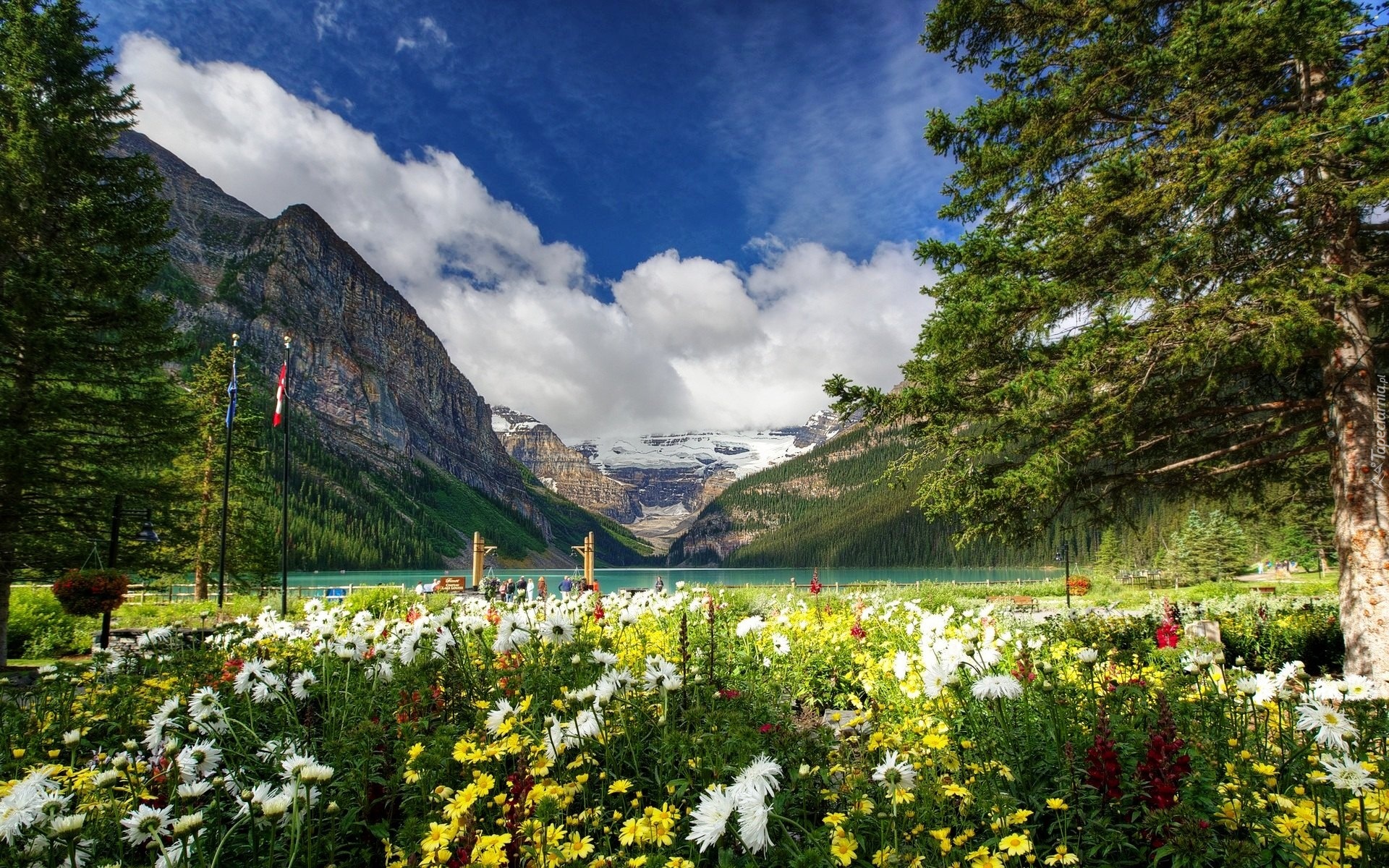Kanada, Prowincja Alberta, Park Narodowy Banff, Góry, Jezioro Lake Louise, Drzewa