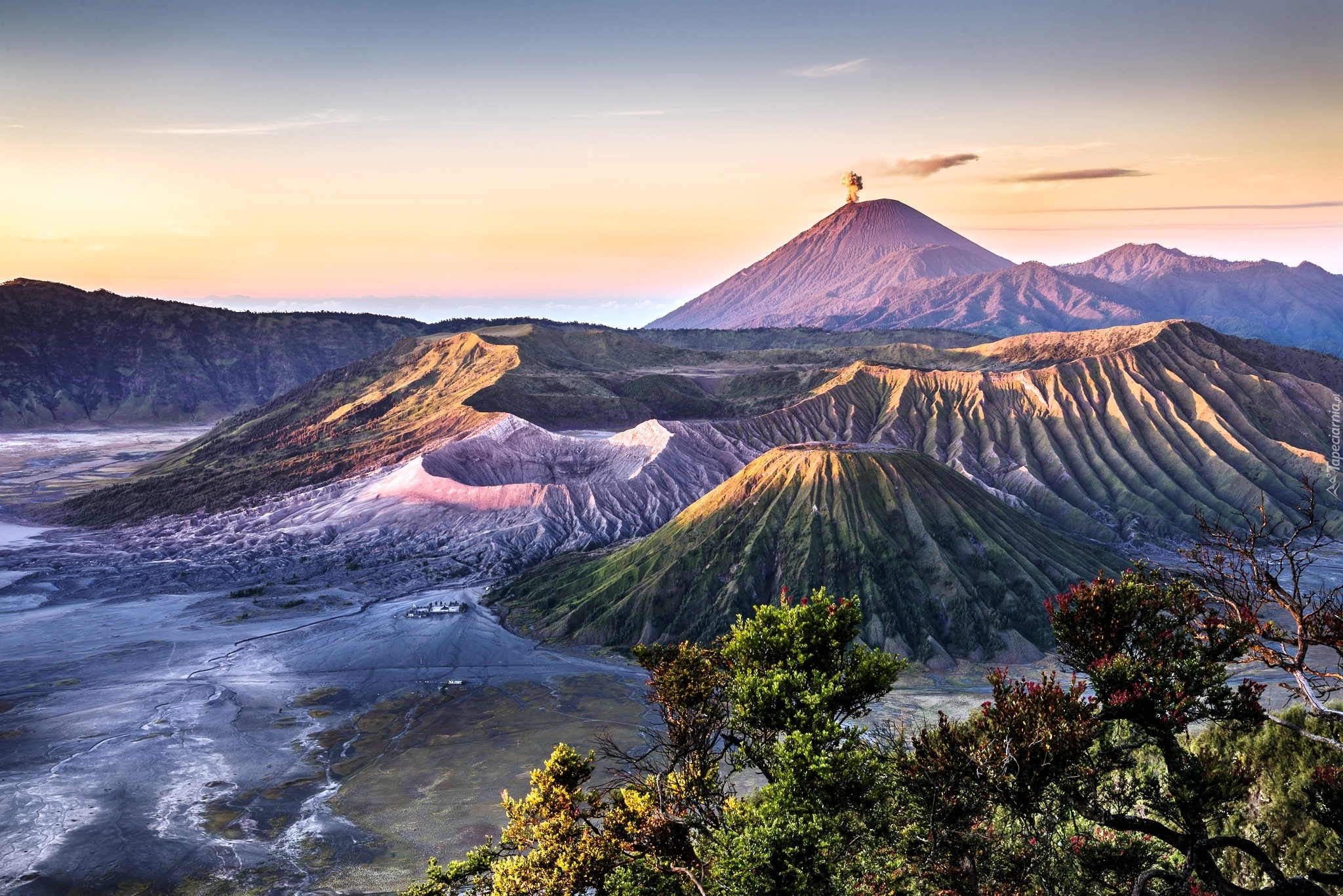 Góra, Bromo, Krzewy, Indonezja