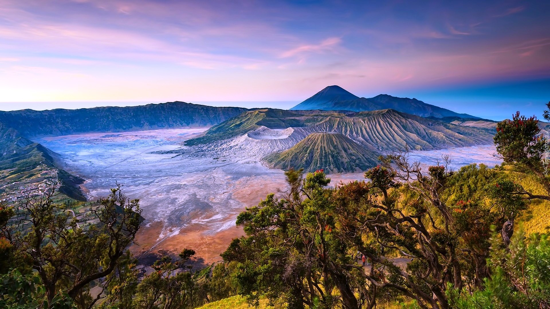 Góra, Bromo, Drzewa, Indonezja