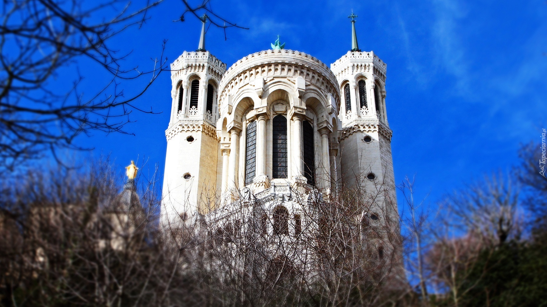 Katedra, Notre Dame, Paryż, Francja