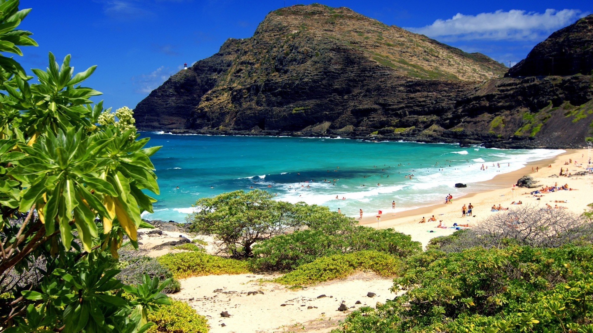 Góry, Morze, Plaża, Roślinność, Oahu, Hawaje