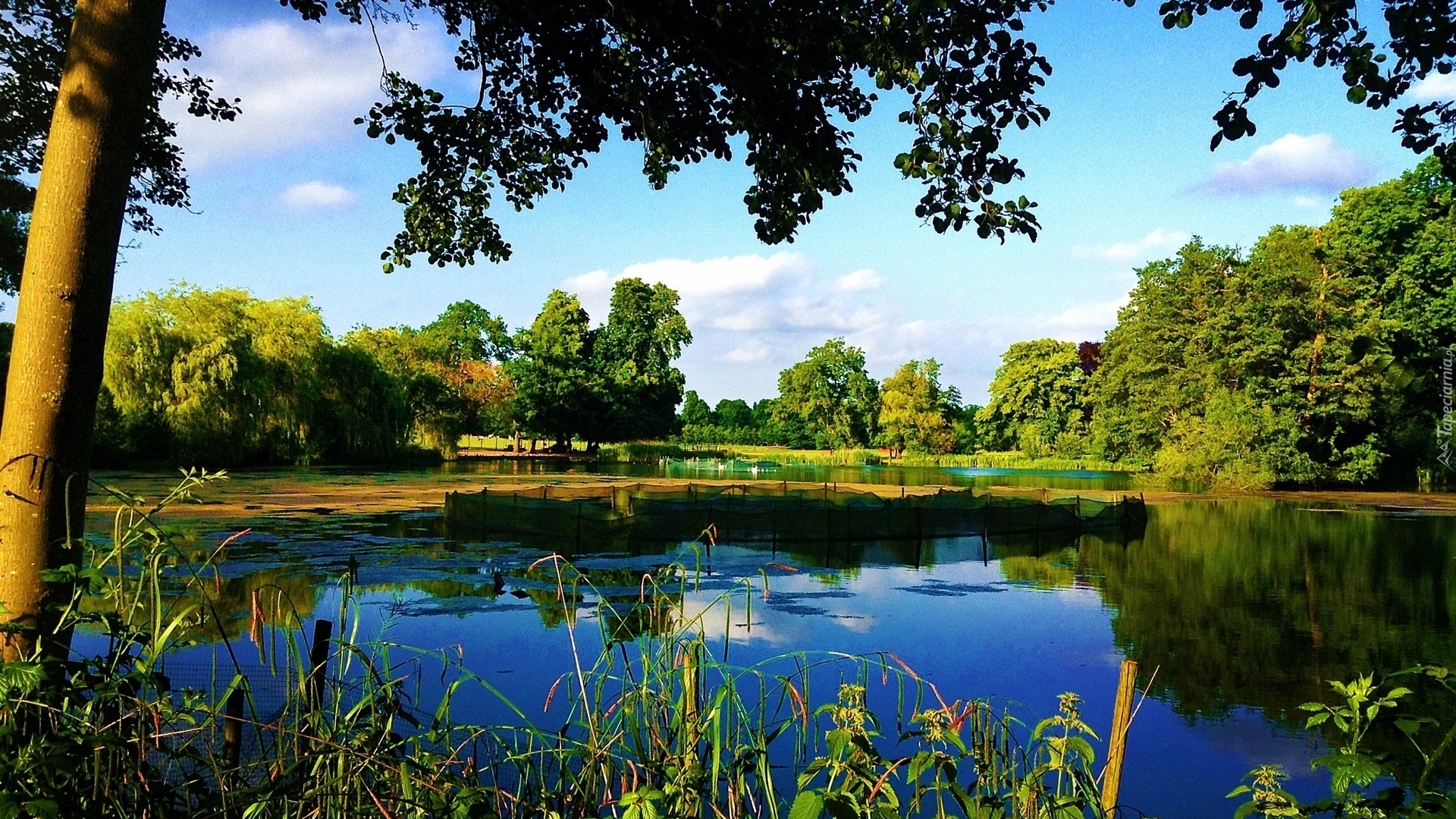 Jezioro, Park