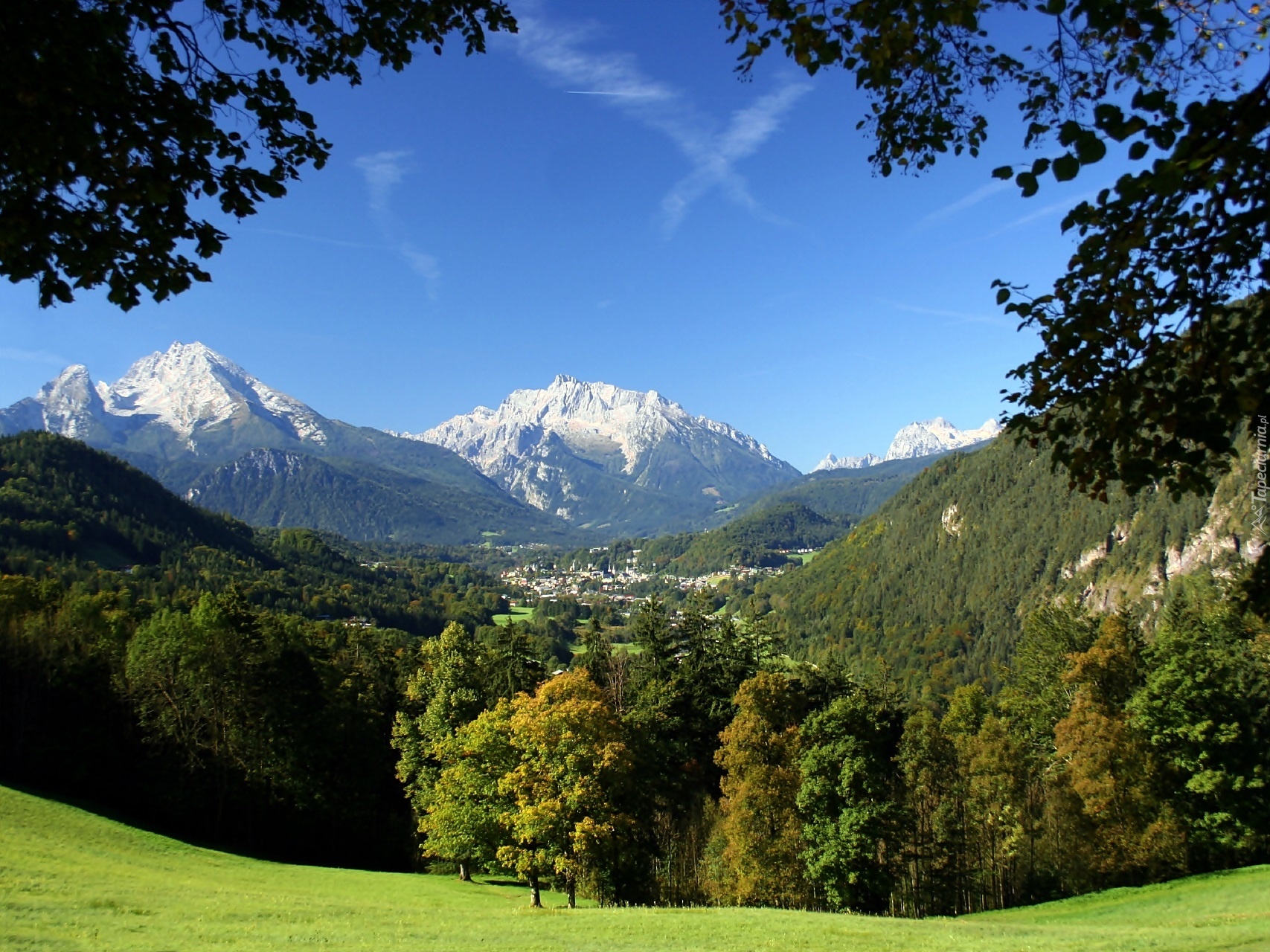 Niemcy, Park Narodowy Berchtesgaden, Góry Watzmann, Las, Łąka