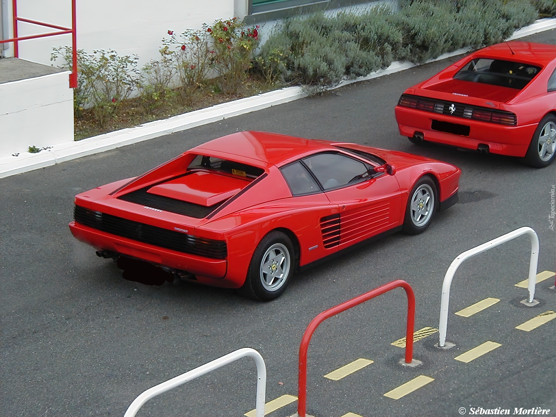 Ferrari,tył , drzwi , koła