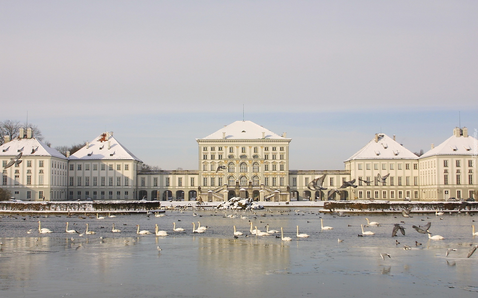 Pałace, Zima, Jezioro, Łabędzie