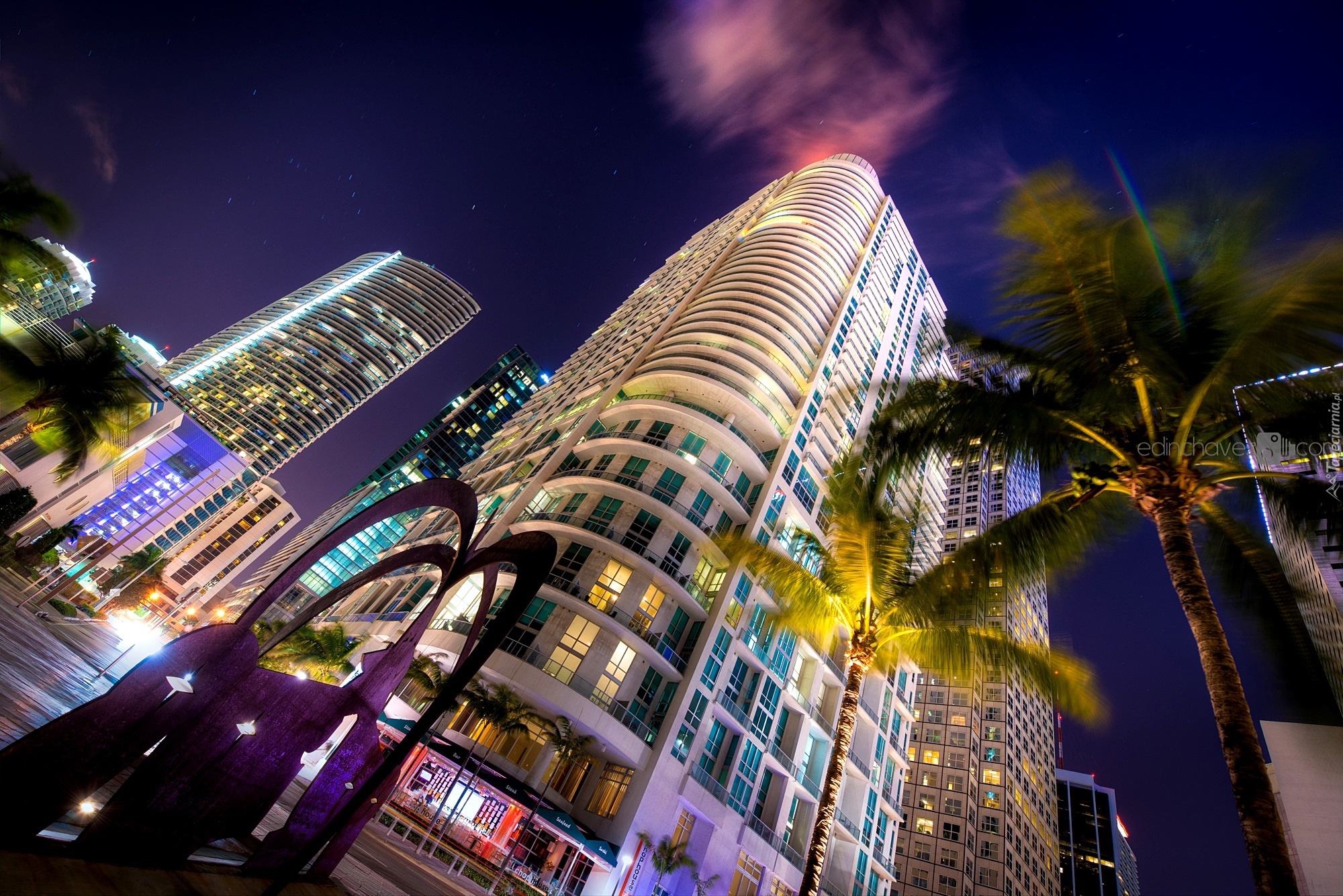 Miami Back Pages Ts