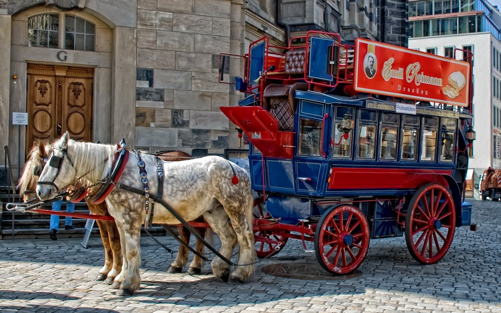 Konie, Wóz, Rynek, Miasta