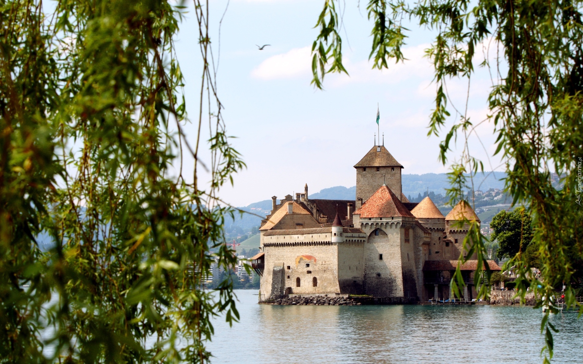 Zamek Chillon, Château de Chillon, Jezioro Genewskie, Kanton Vaud, Szwajcaria, Gałęzie, Drzewa
