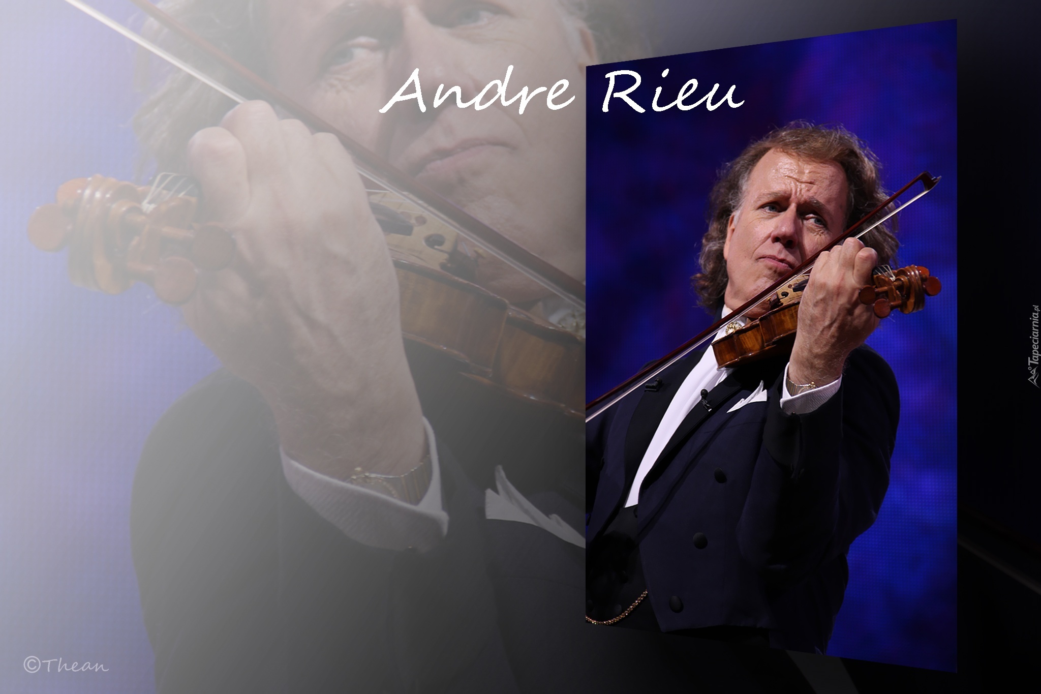 Andre Rieu, Skrzypek, Johan Strauss Orkiestra, Skrzypce