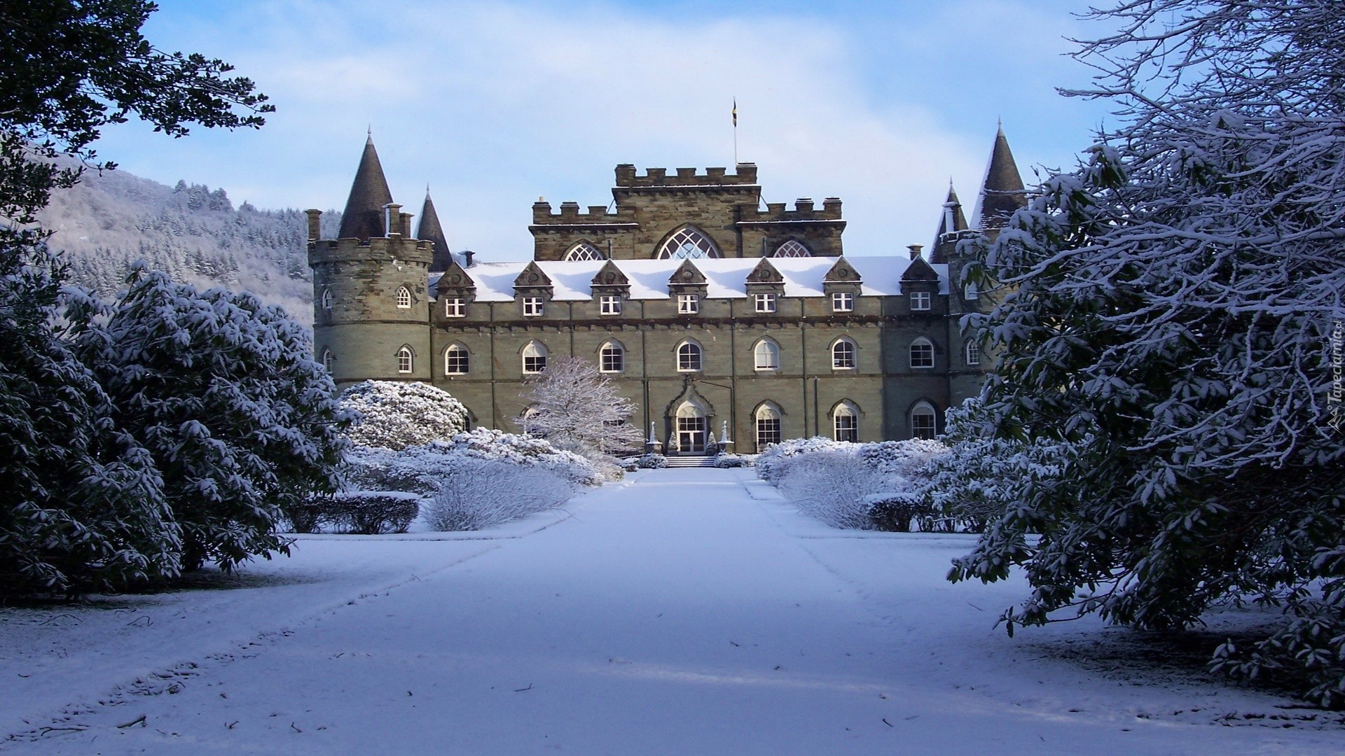 Zamek Inveraray, Inveraray Castle, Szkocja, Zima, Drzewa, Aleja