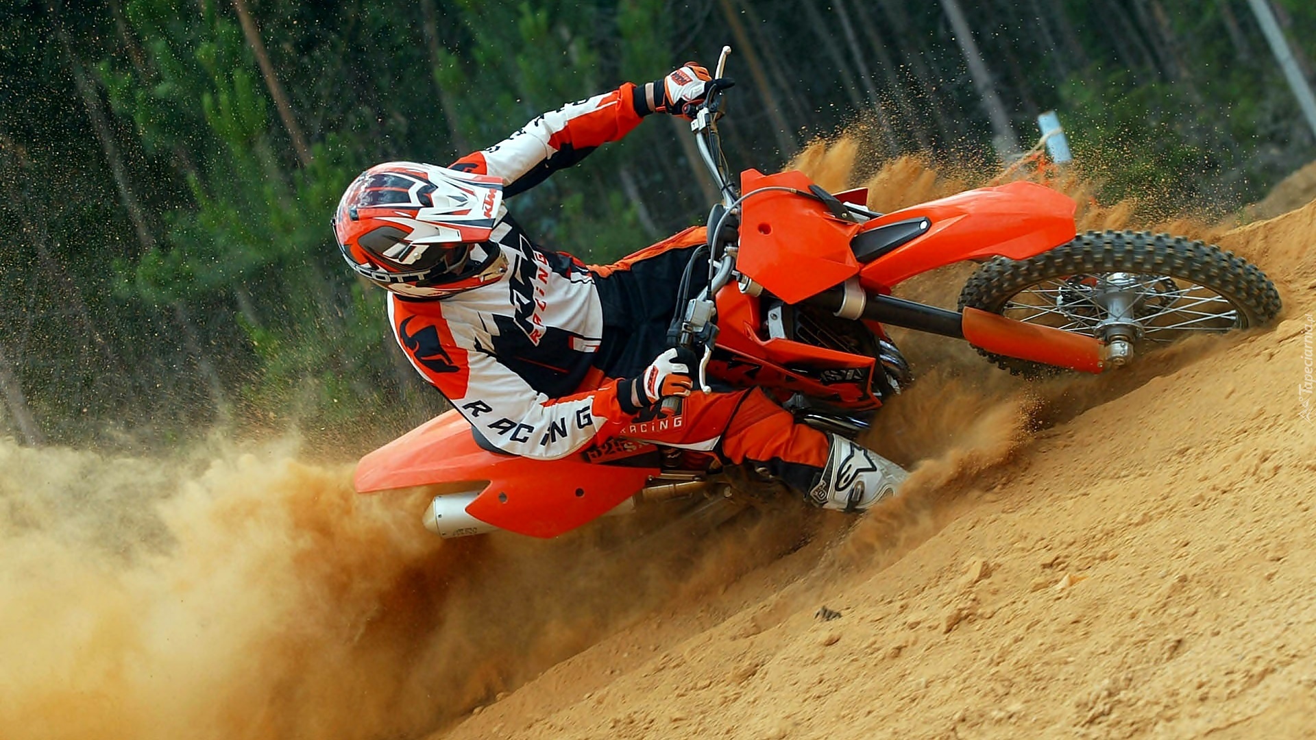 Las, Motocross, Zawodnik