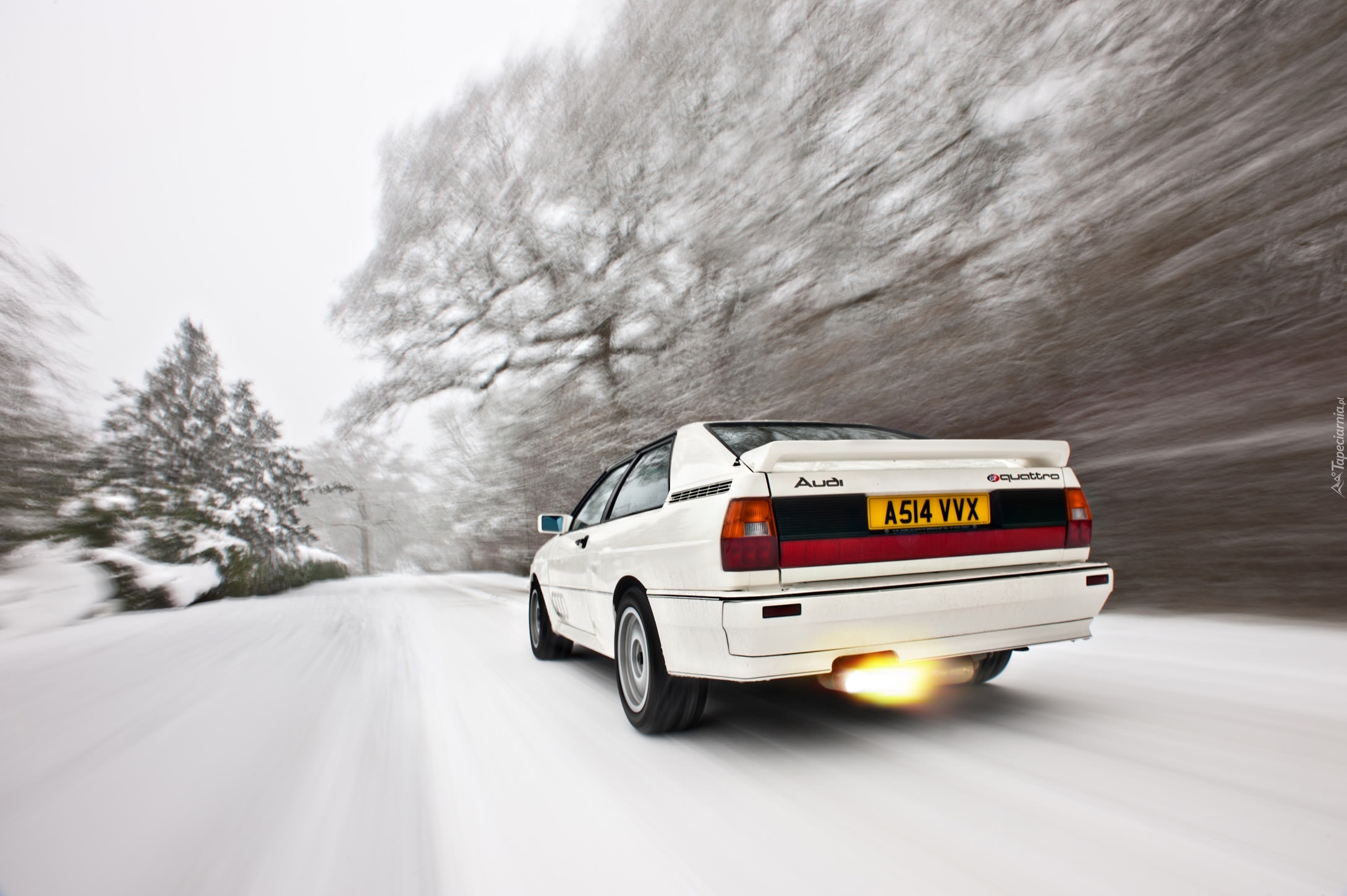 Audi, Quattro, Białe, Śnieg