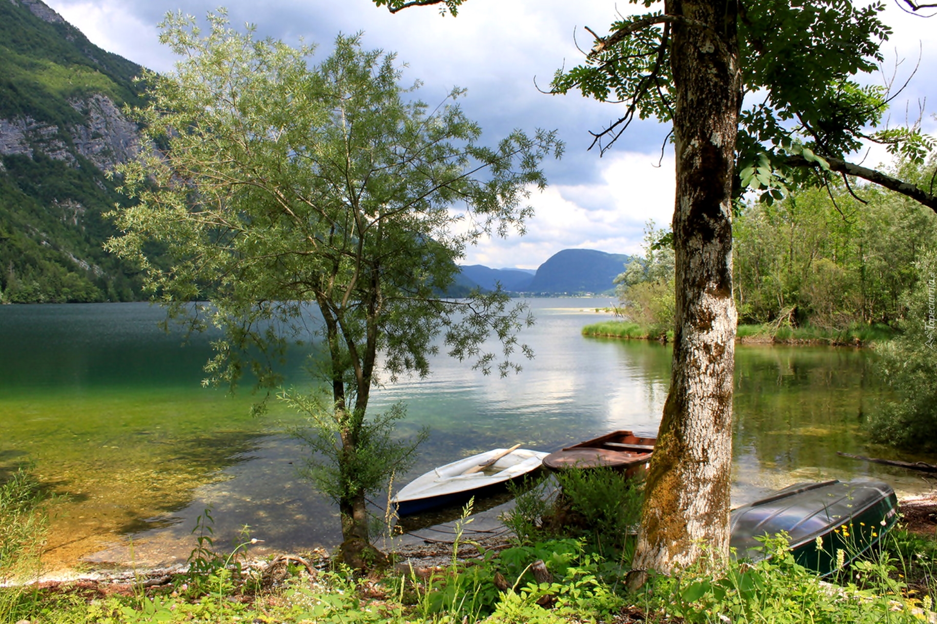 Park, Narodowy, Triglav, Góry, Jezioro, Bohinj, Łódki, Drzewa