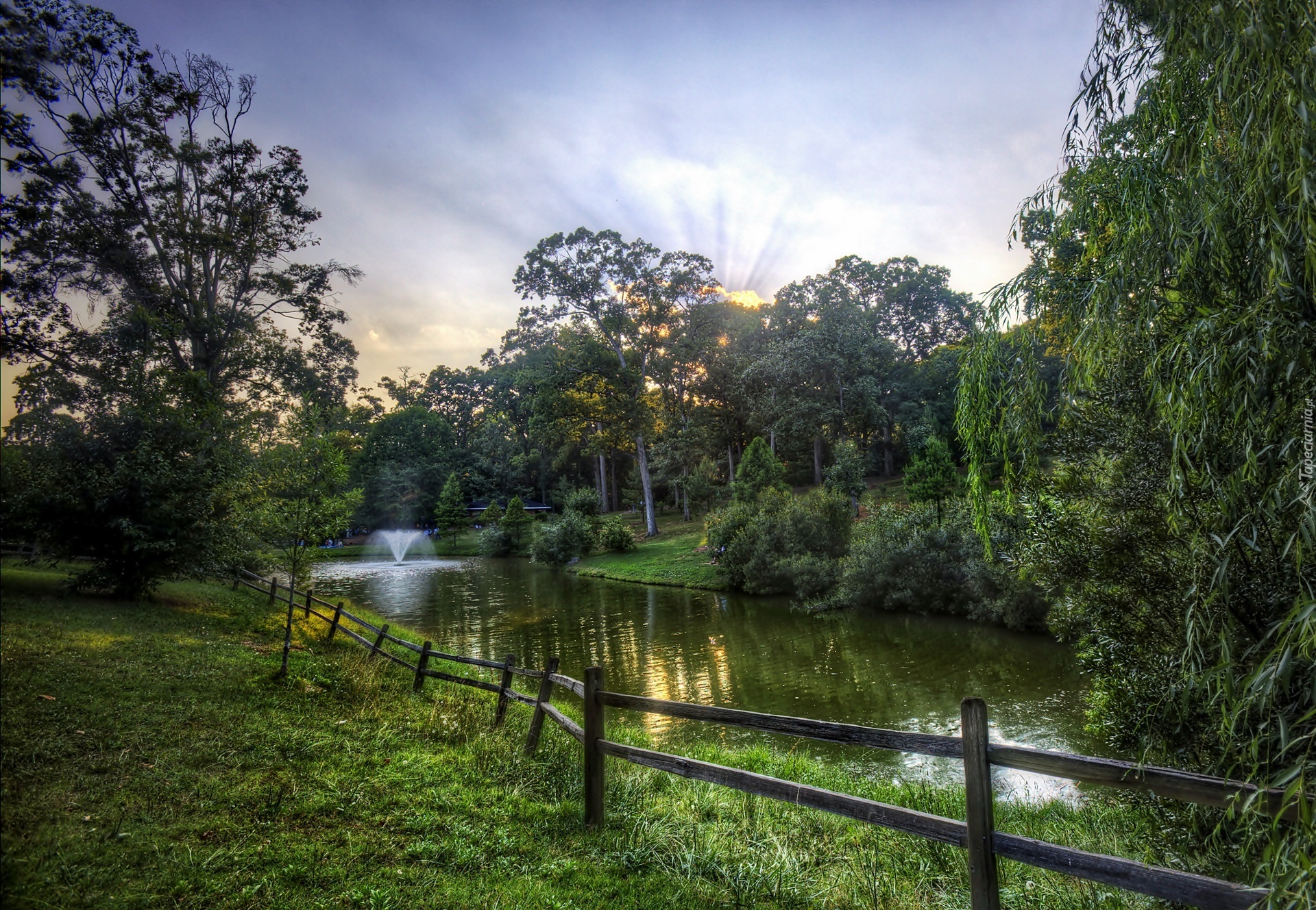 Park, Staw, Wodotrysk, Przebijające, Światło