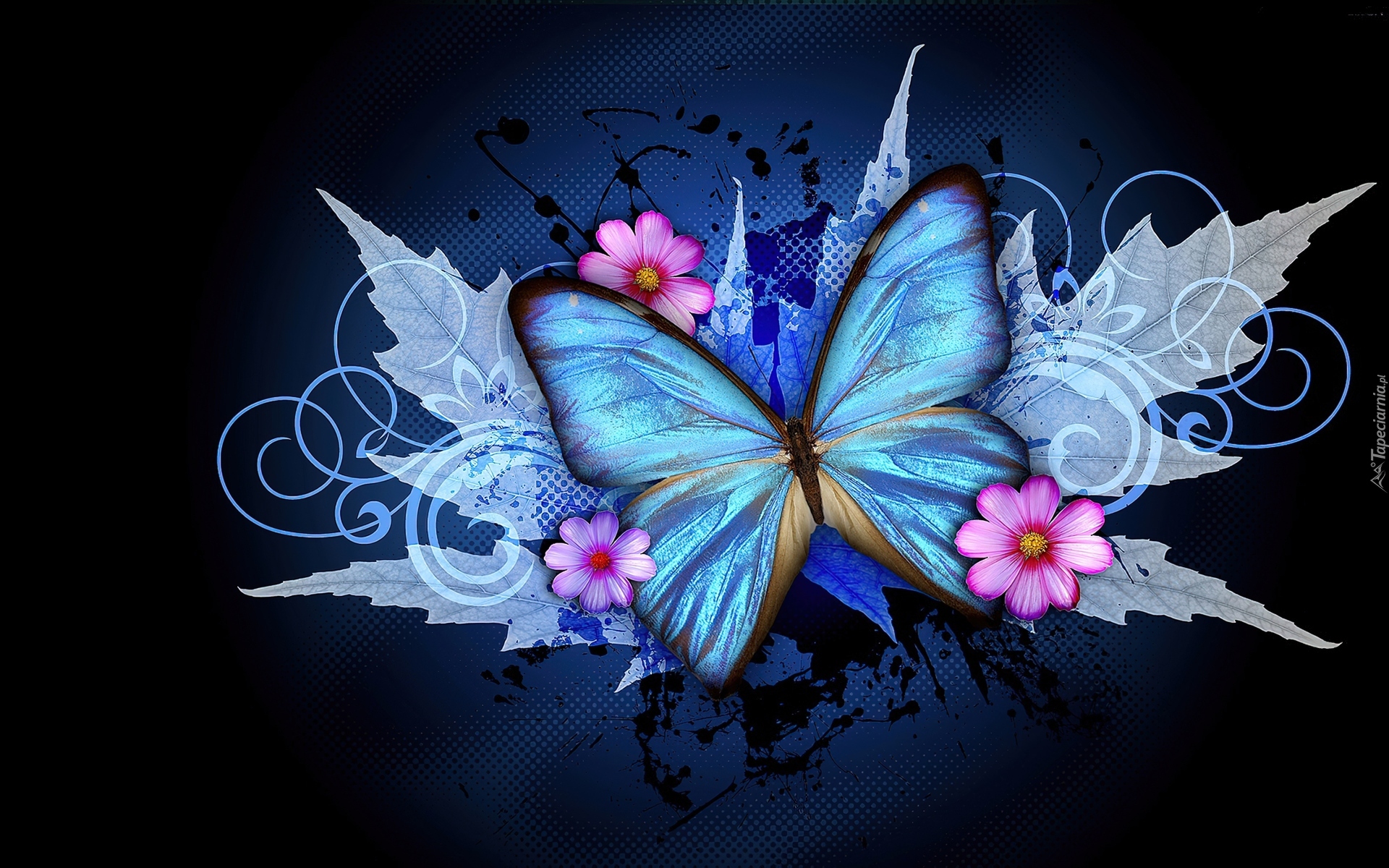 Grafika 2D, Niebieski, Motyl, Kwiaty