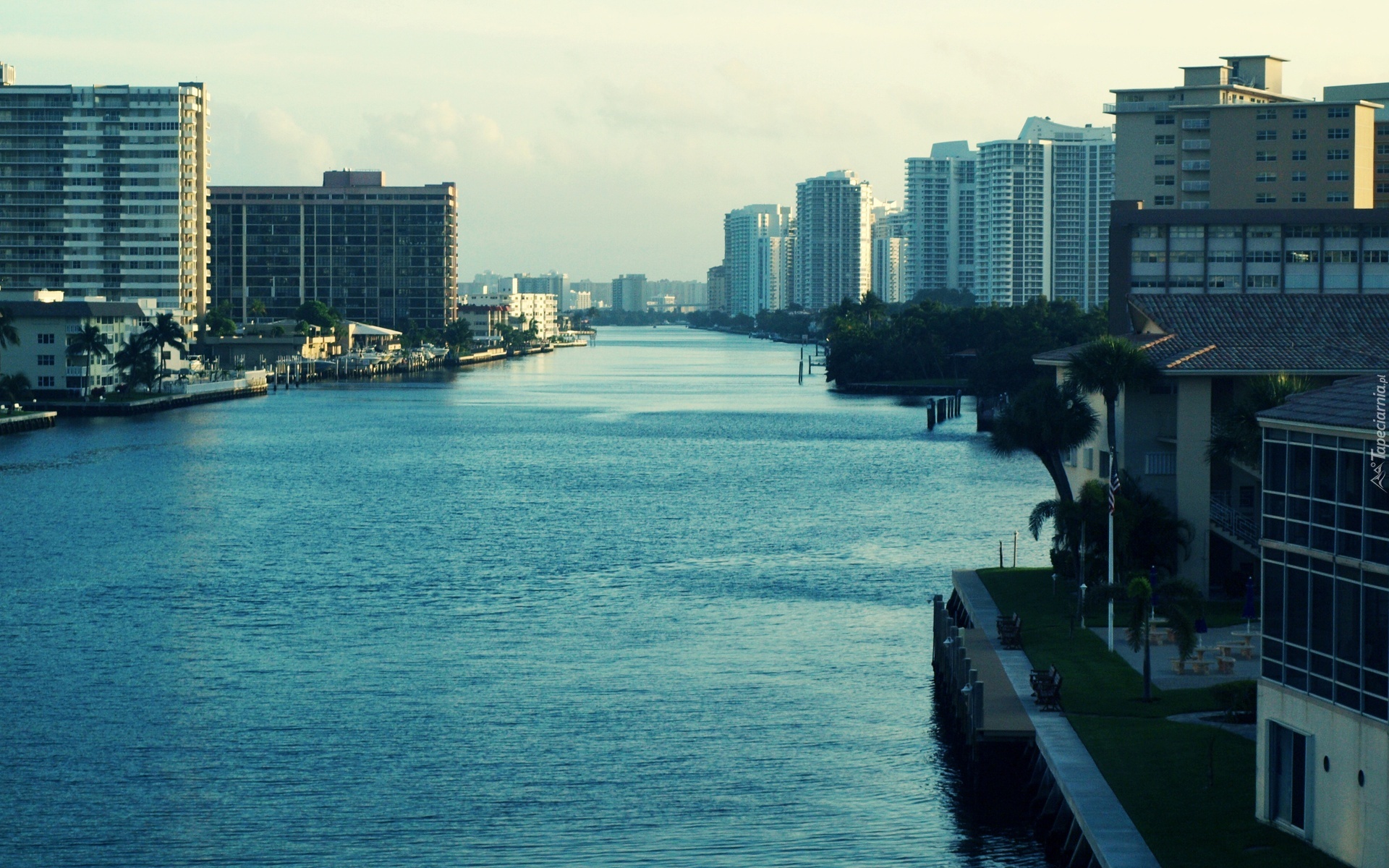 Rzeka, Wieżowce, Drzewa, Miami, Floryda