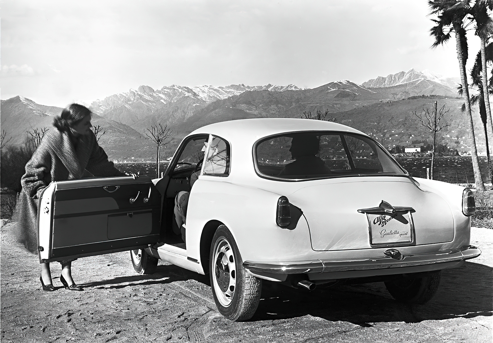 Alfa Romeo,drzwi