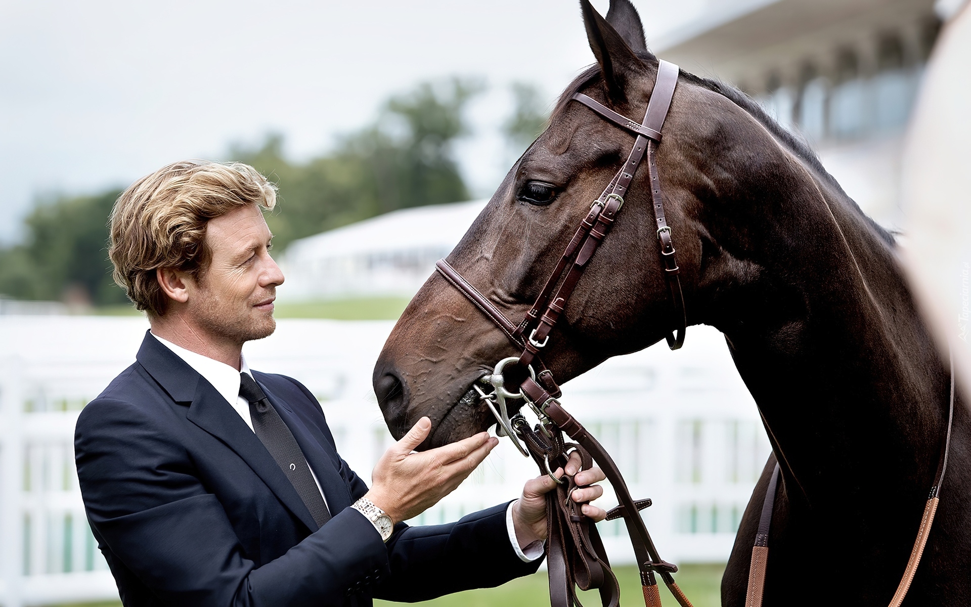 Simon Baker, Koń