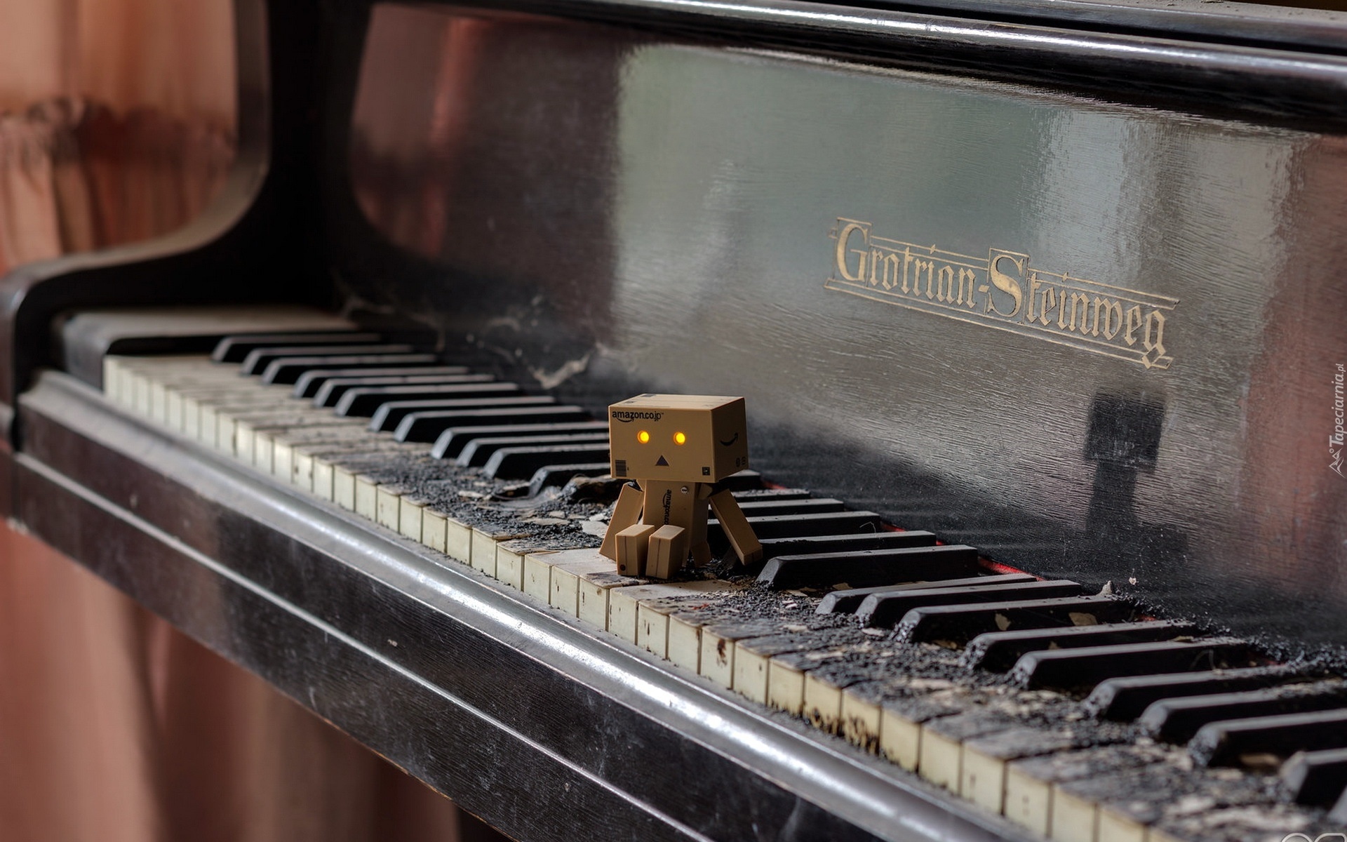 Danbo, Pianino