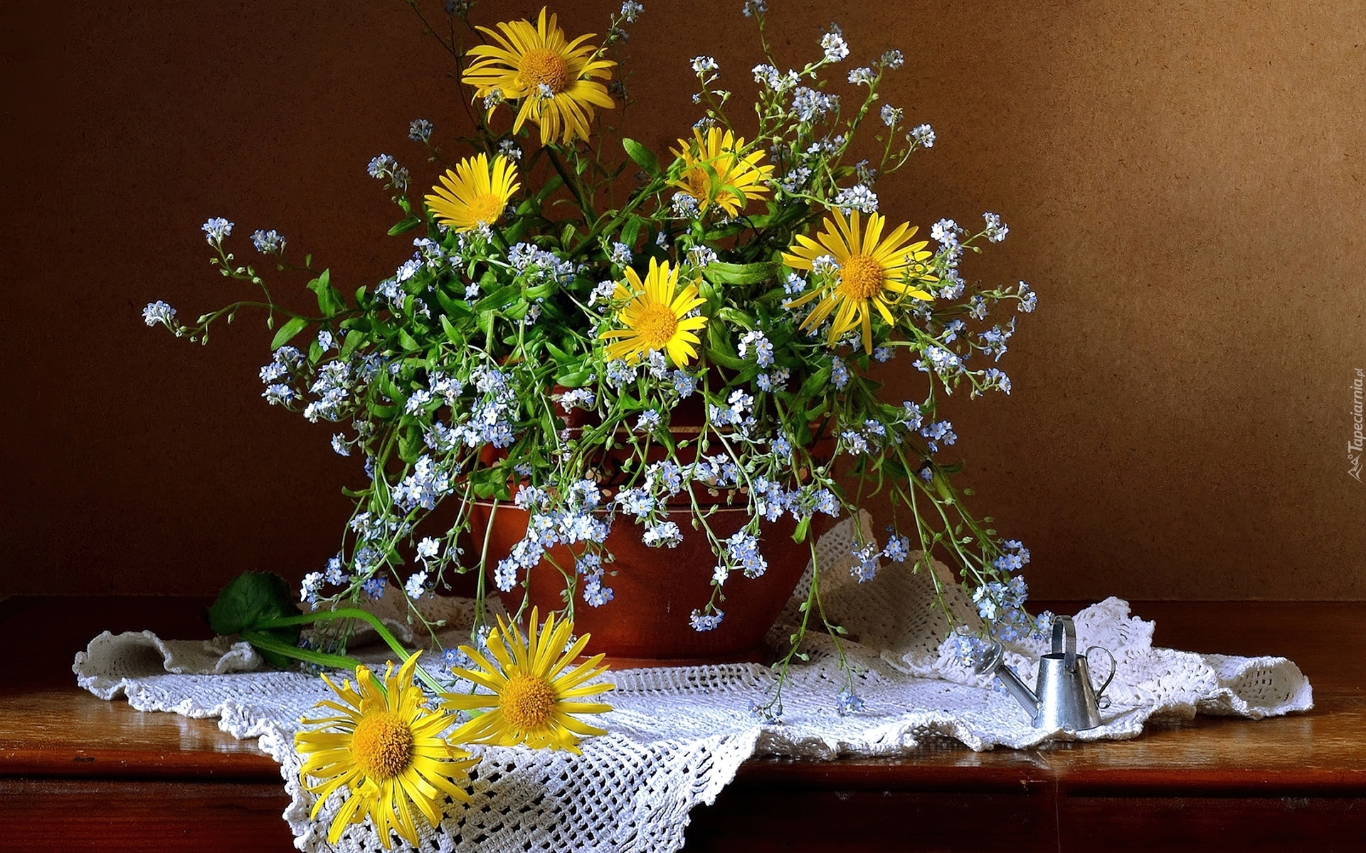 Kompozycja, Bukiet, Niezapominajki, Rudbekia, Serweta