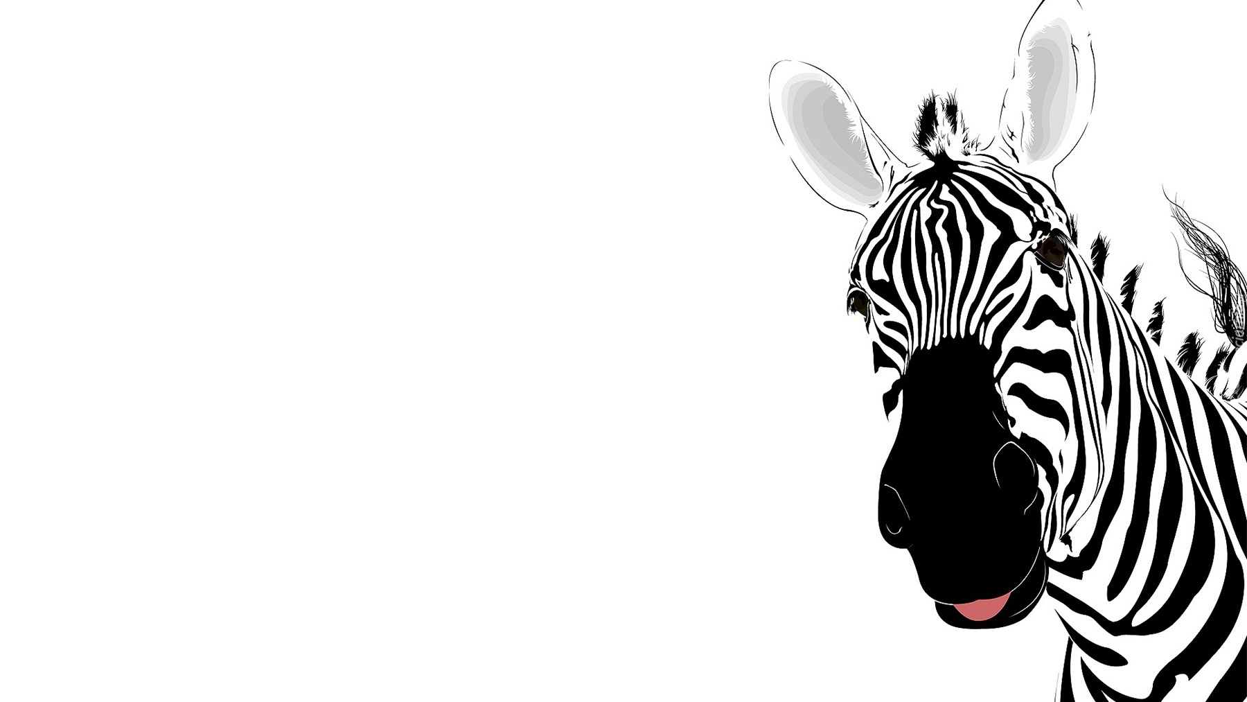 Grafika, Zebra