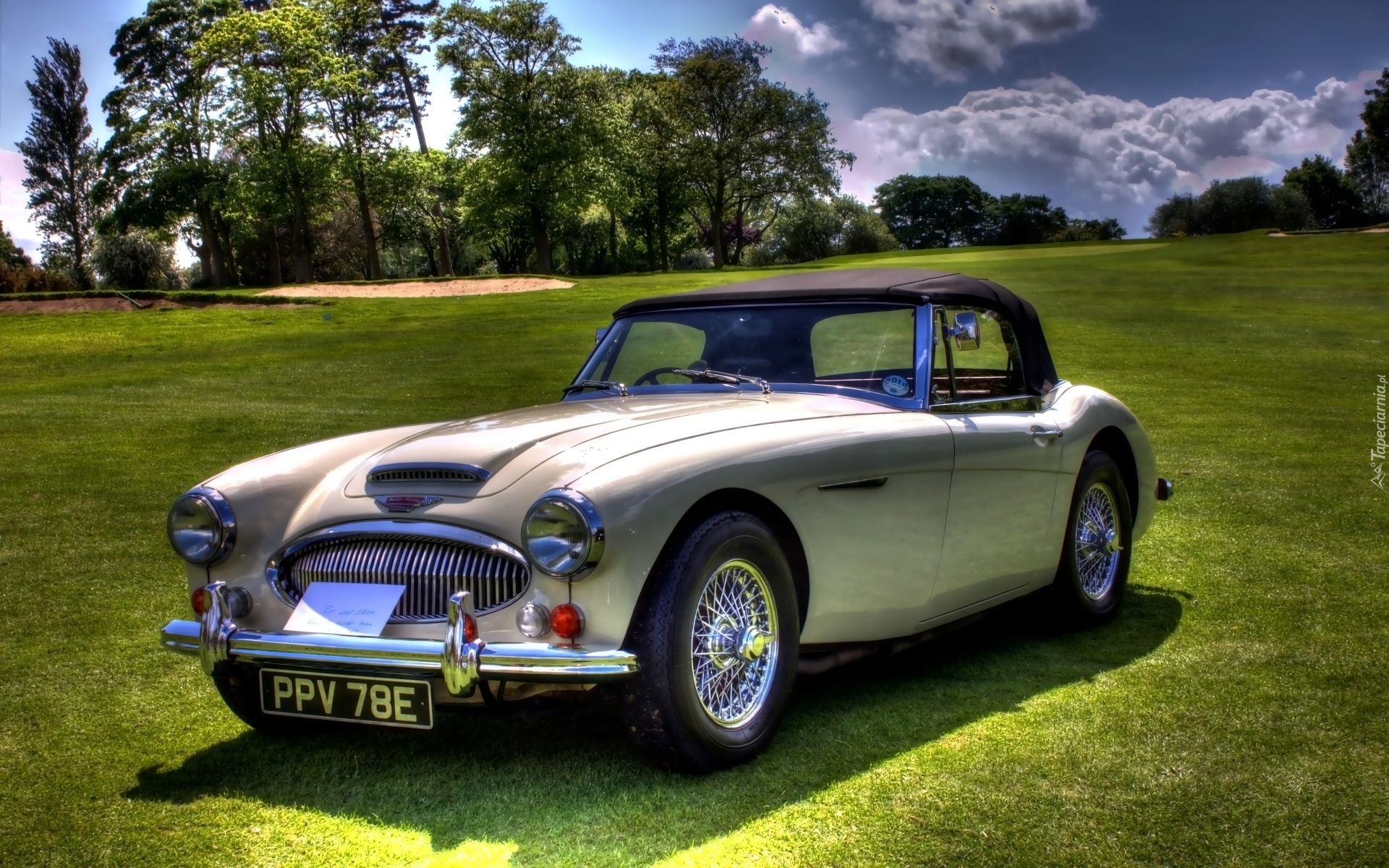 Austin, Healey 3000, Brytyjski, Zabytkowy, Samochód, Sportowy